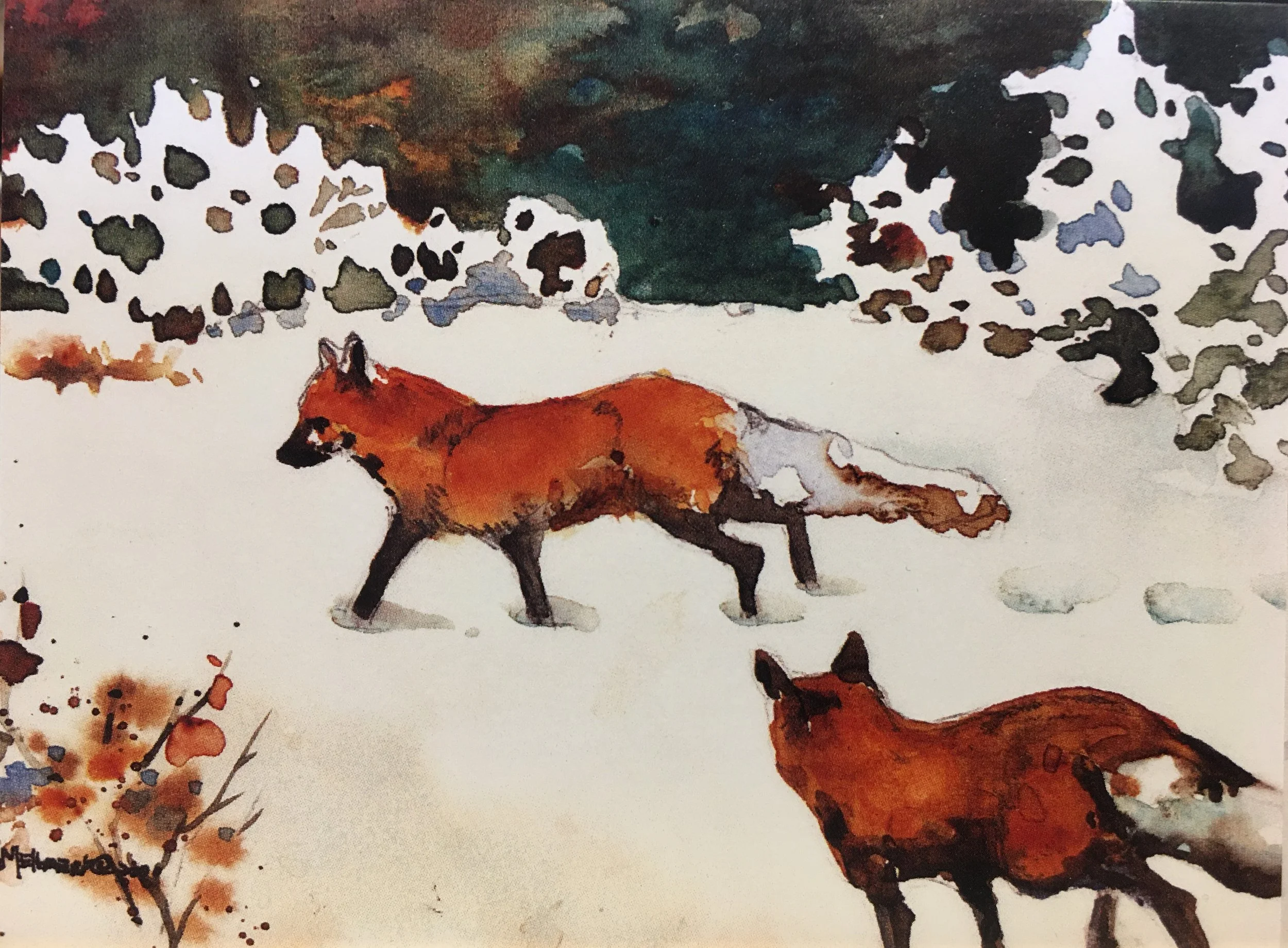 Fox Chase01241_5309.JPG