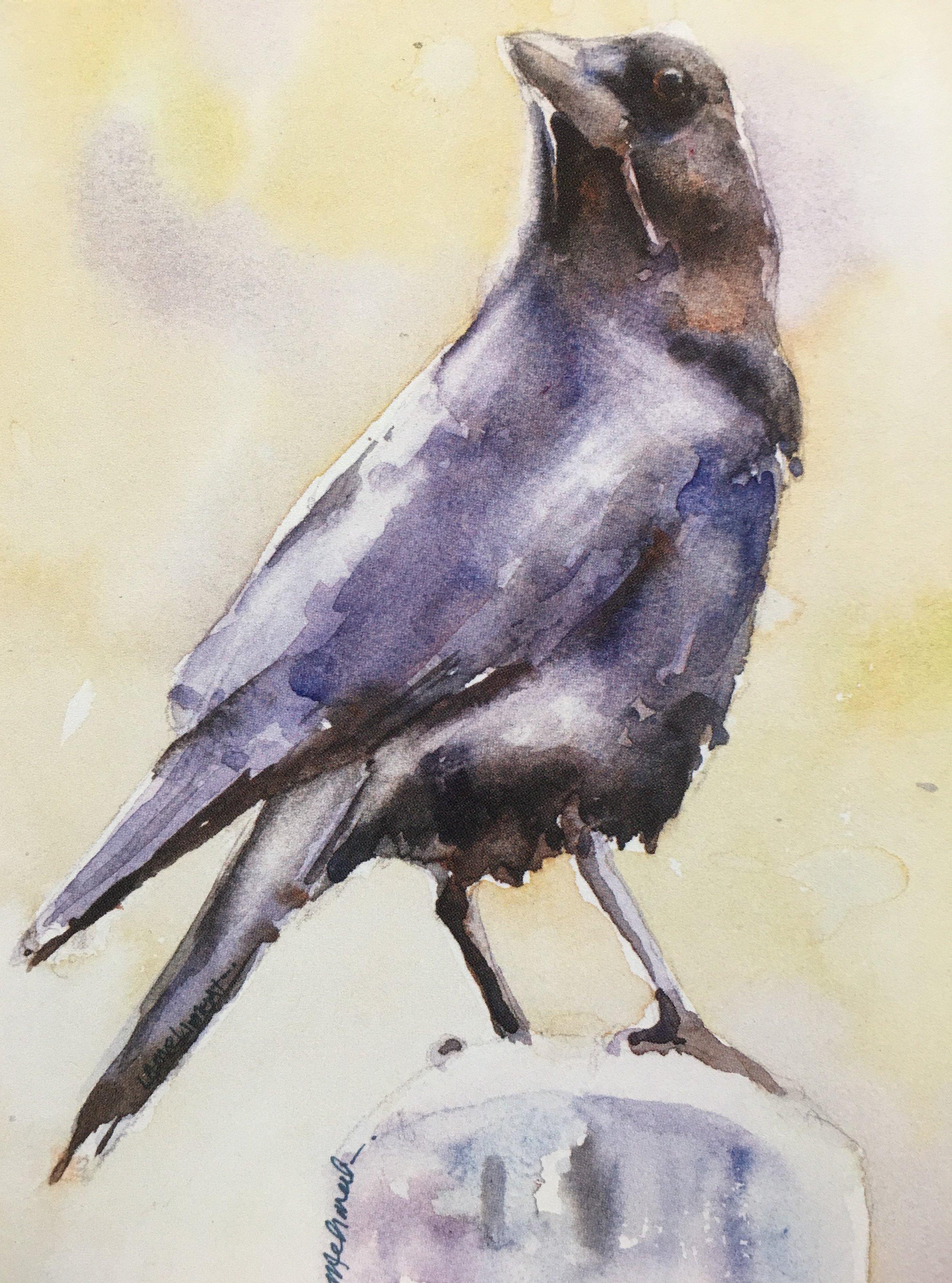 The Chairman01975_5972.JPG