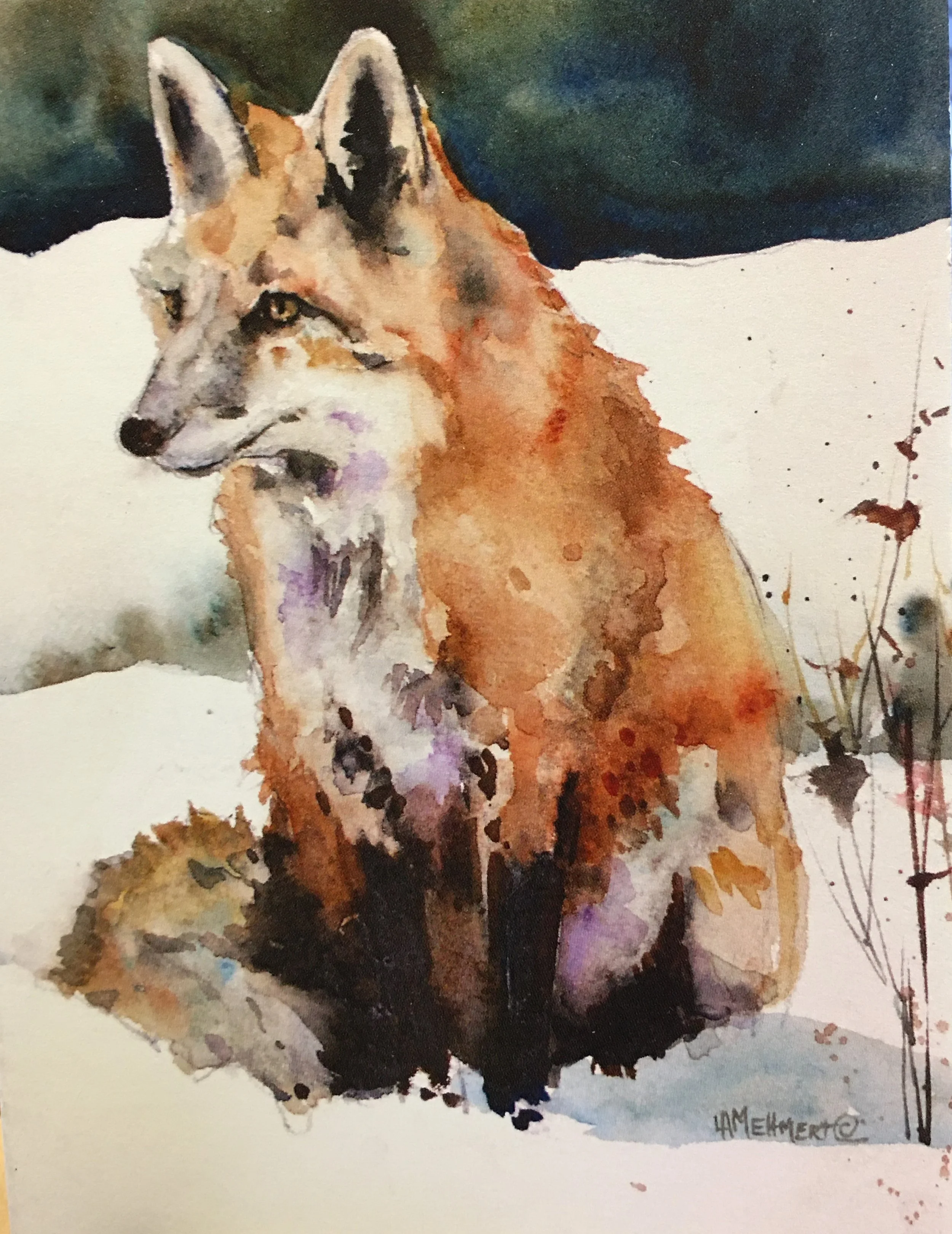 Jans Fox01444_5513.JPG