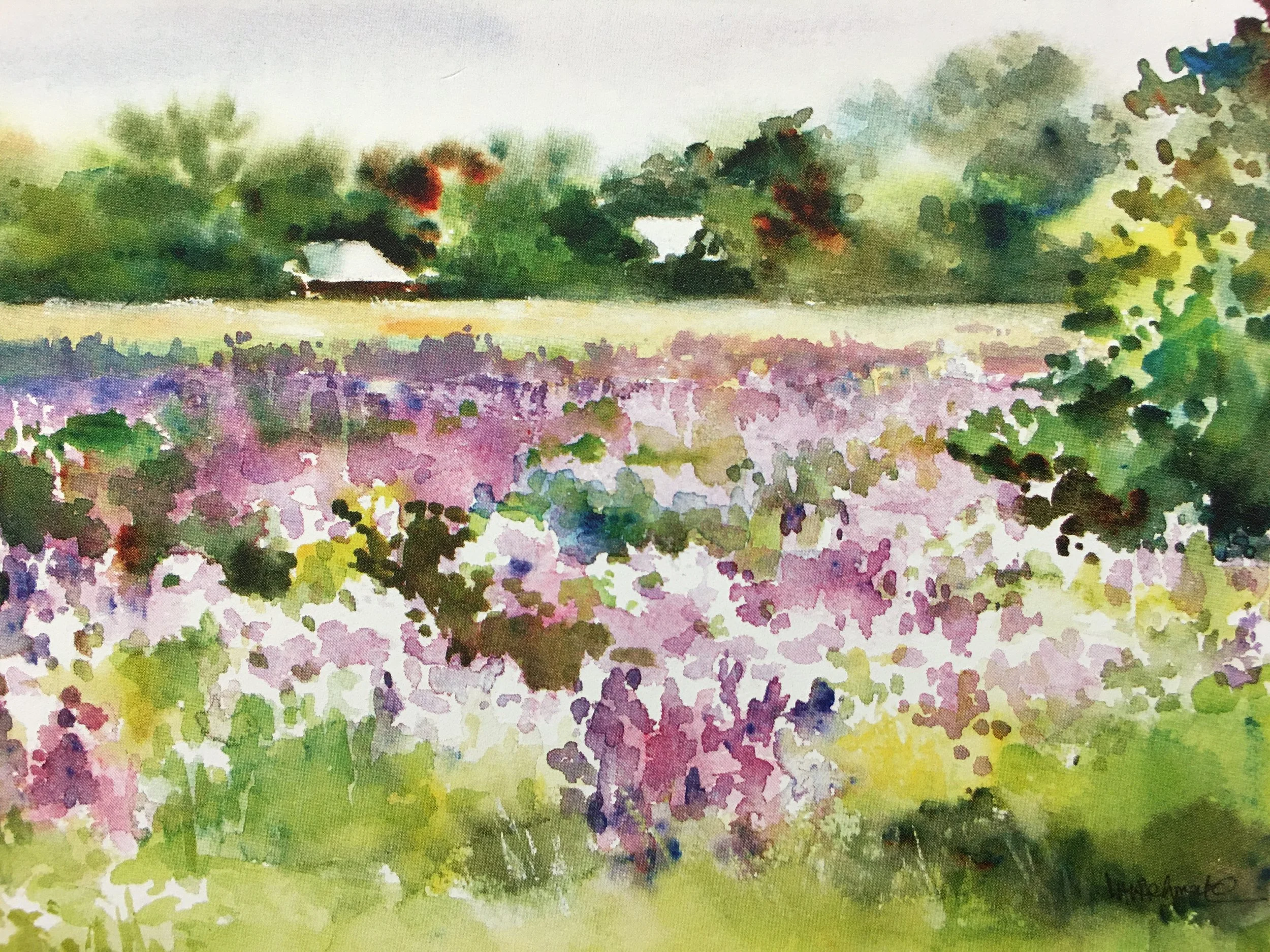 Lavender Blue05482.JPG