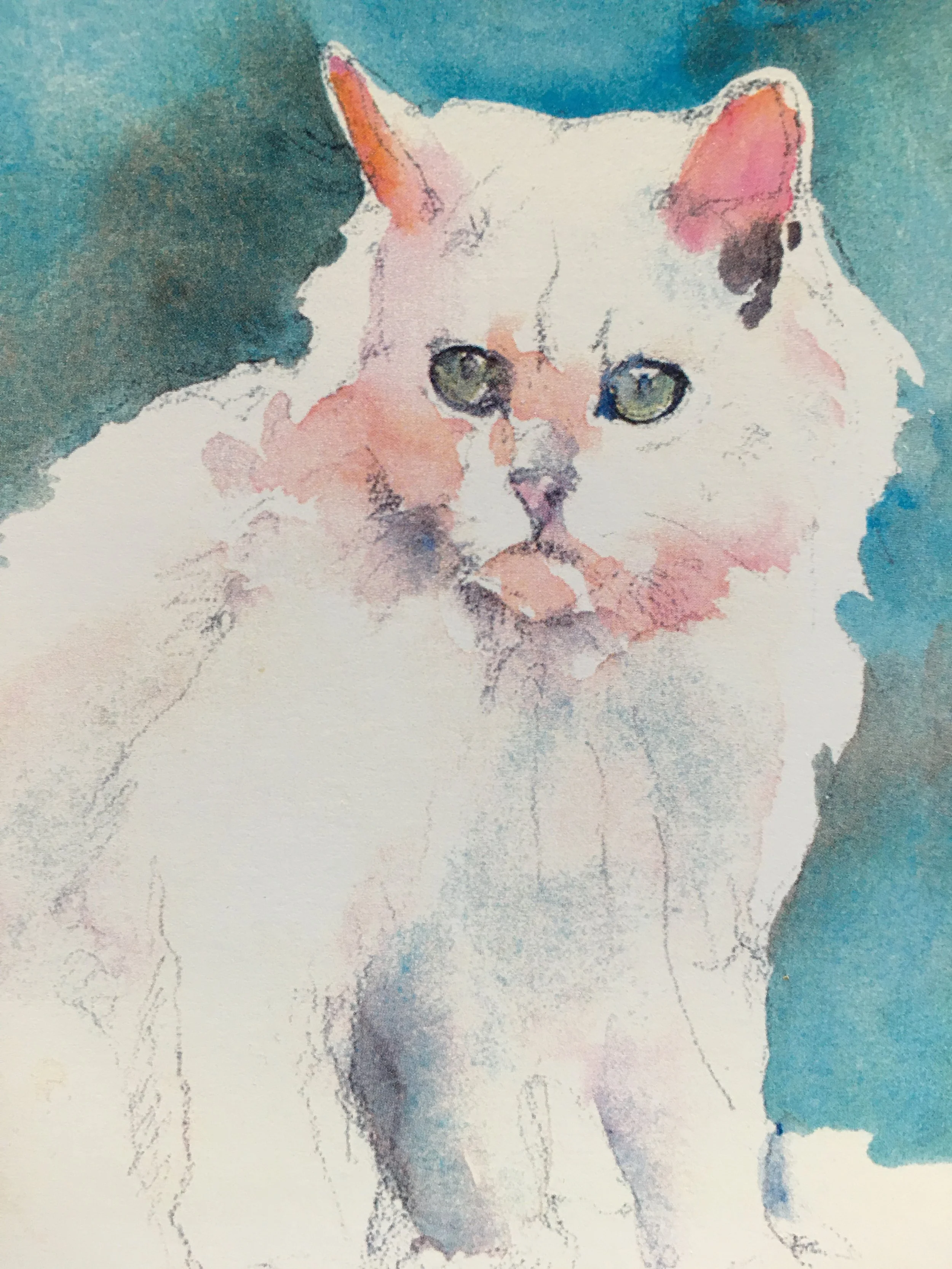 White Kitten04123.JPG