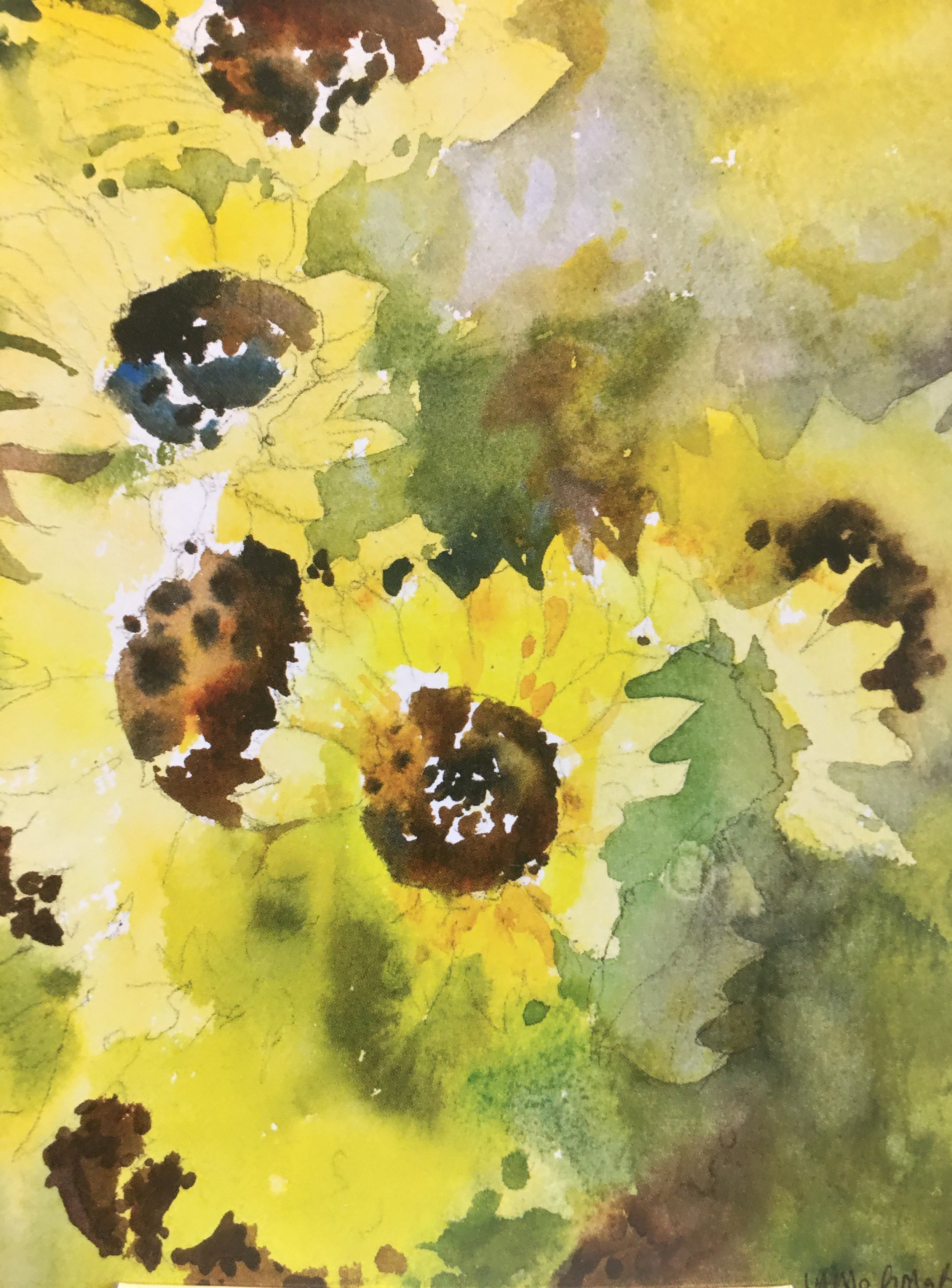 Sunflower Patch06667.JPG