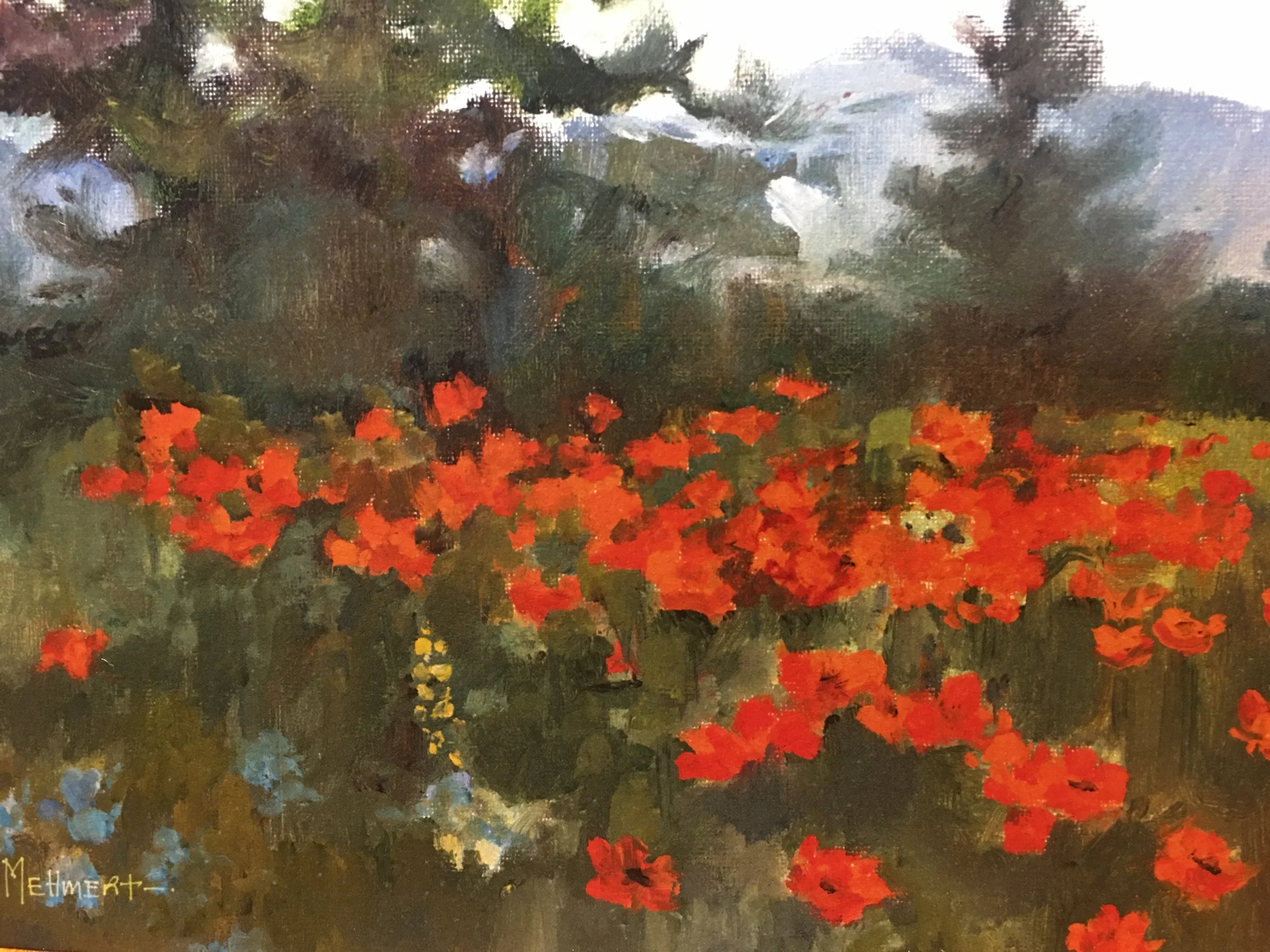 Jan's Poppies 05040.JPG