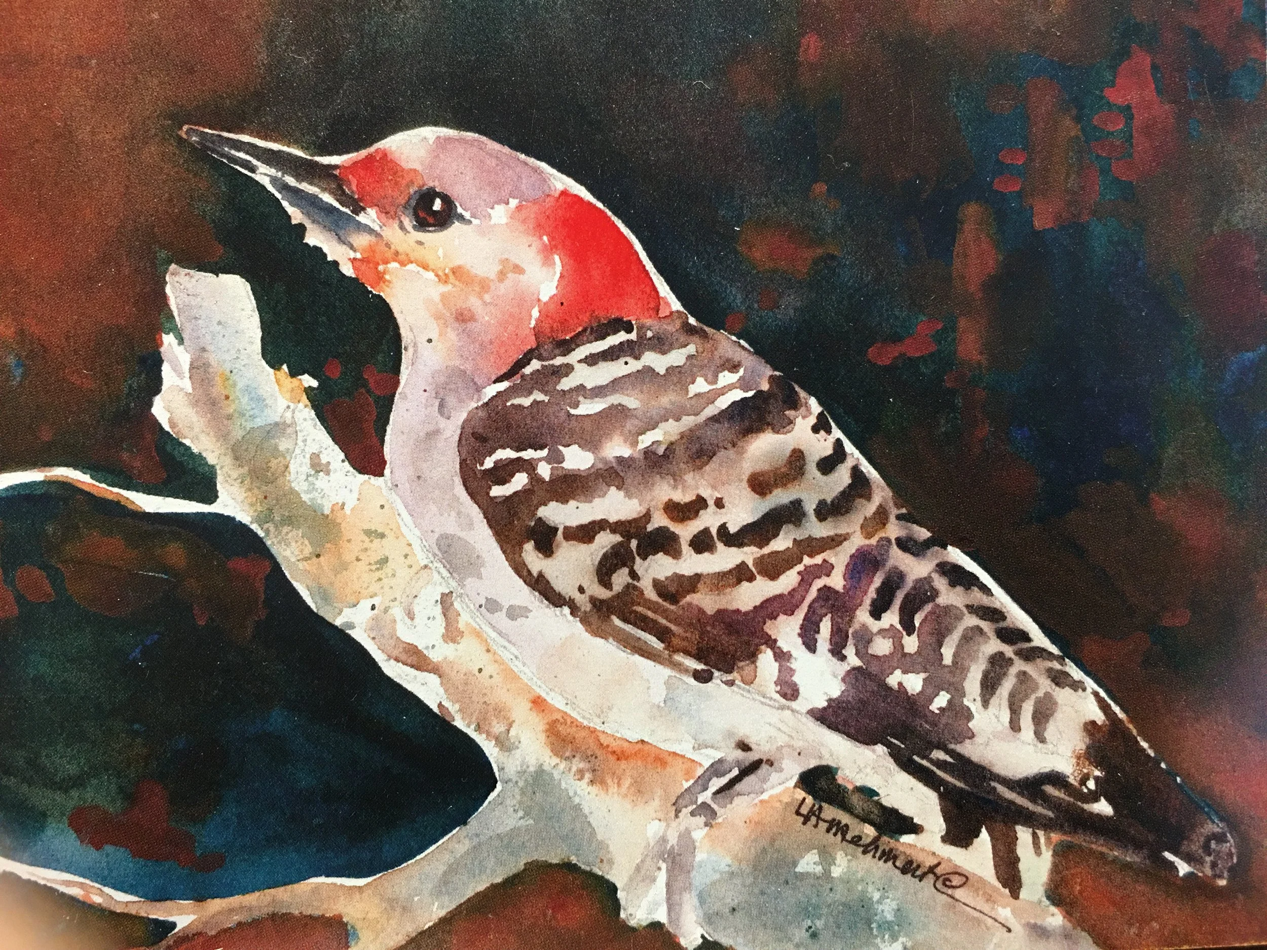 Red Headed Woodpecker01531_5896.JPG