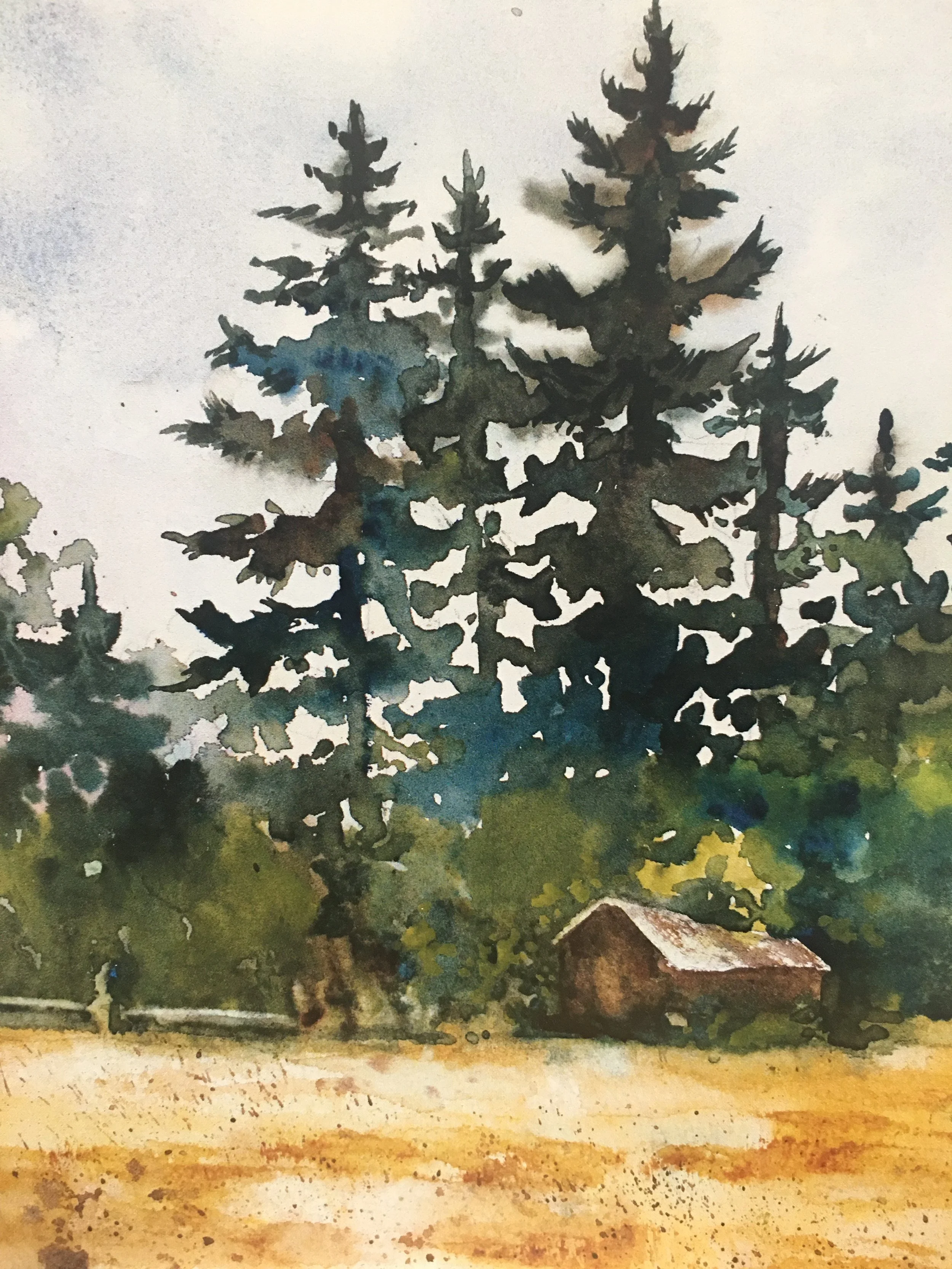 Tall Pines05605.JPG