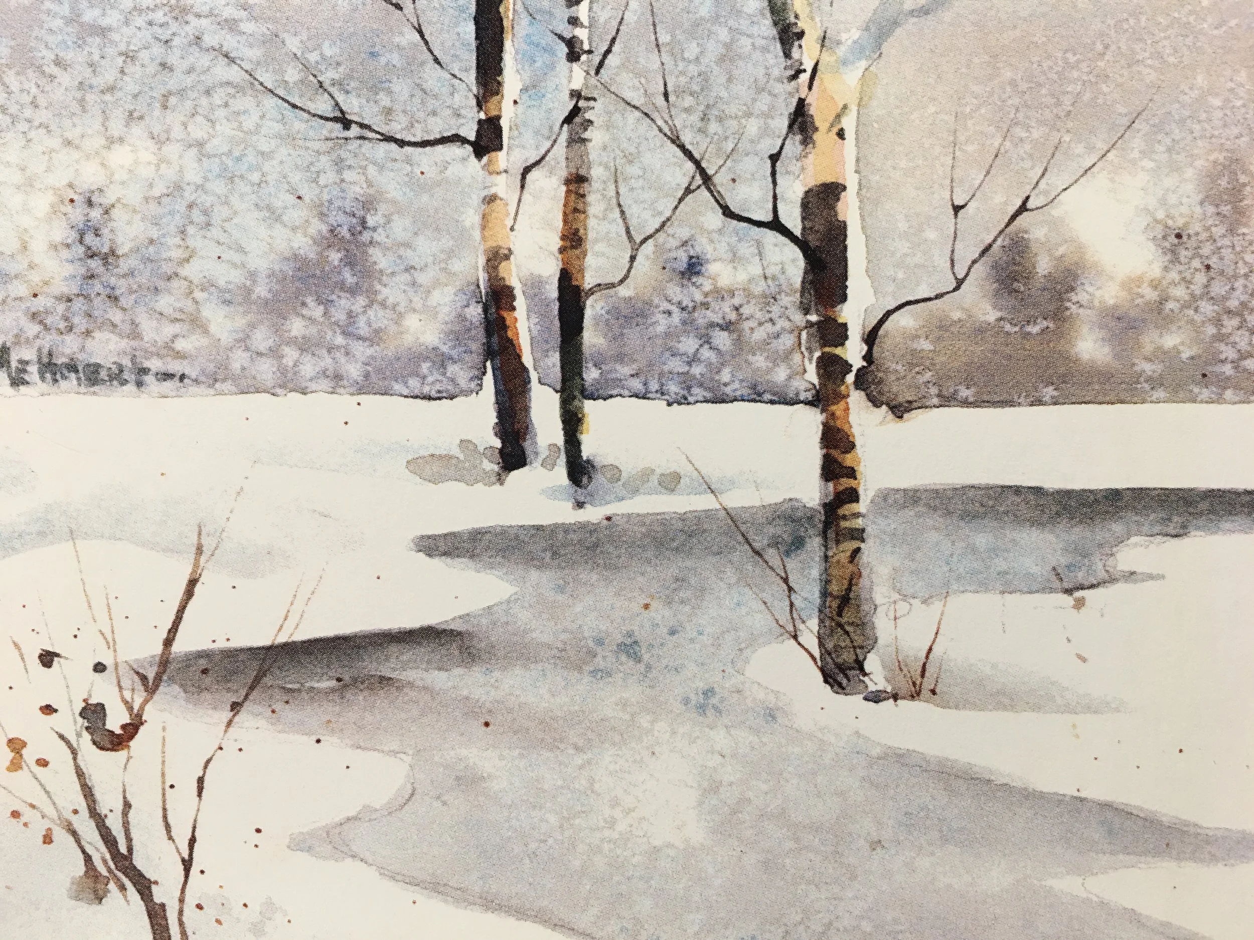 Stream and Snow05223.JPG