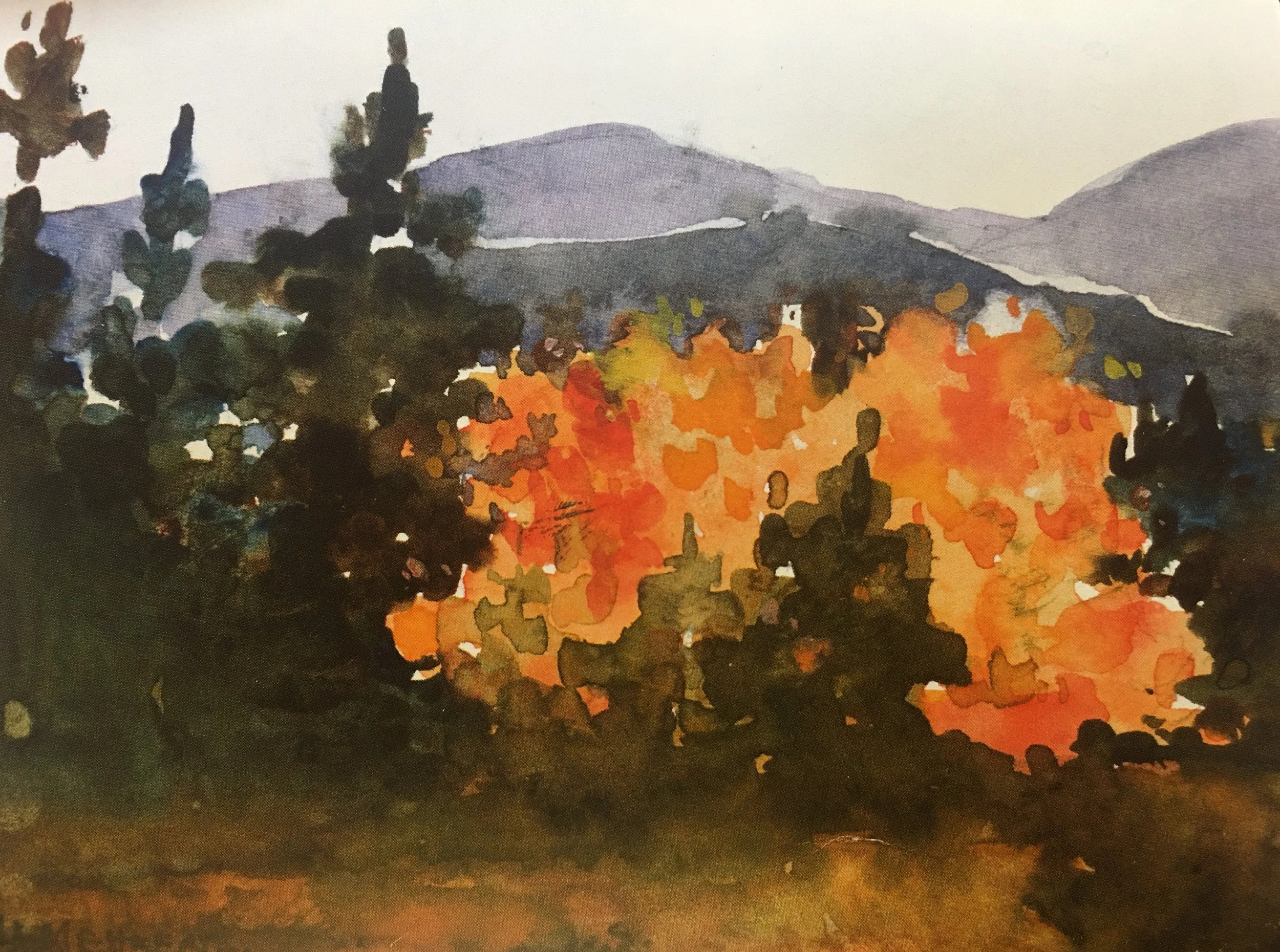 Splash of Color05954.JPG