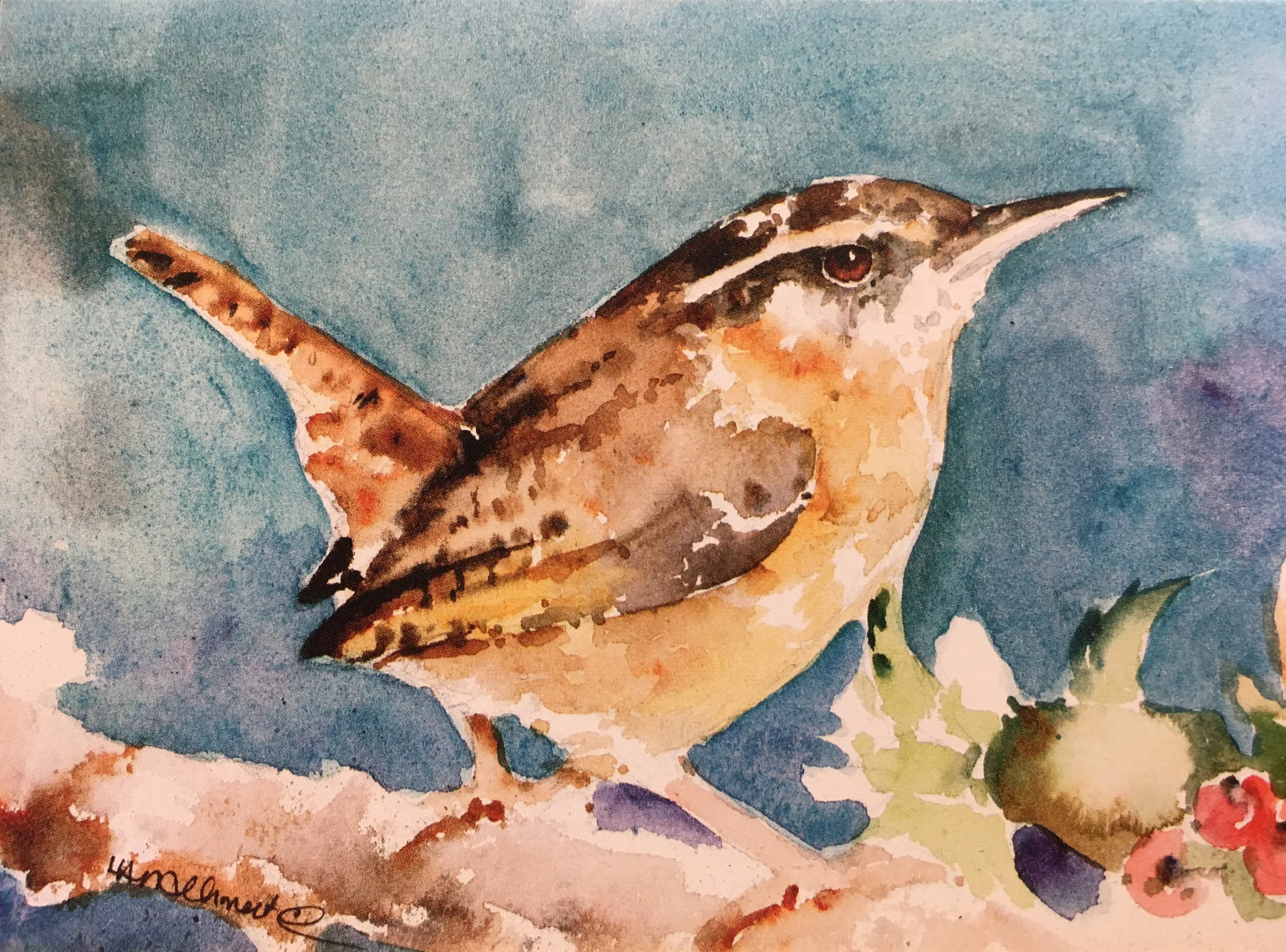 Hughs Carolina Wren01479_5267.JPG