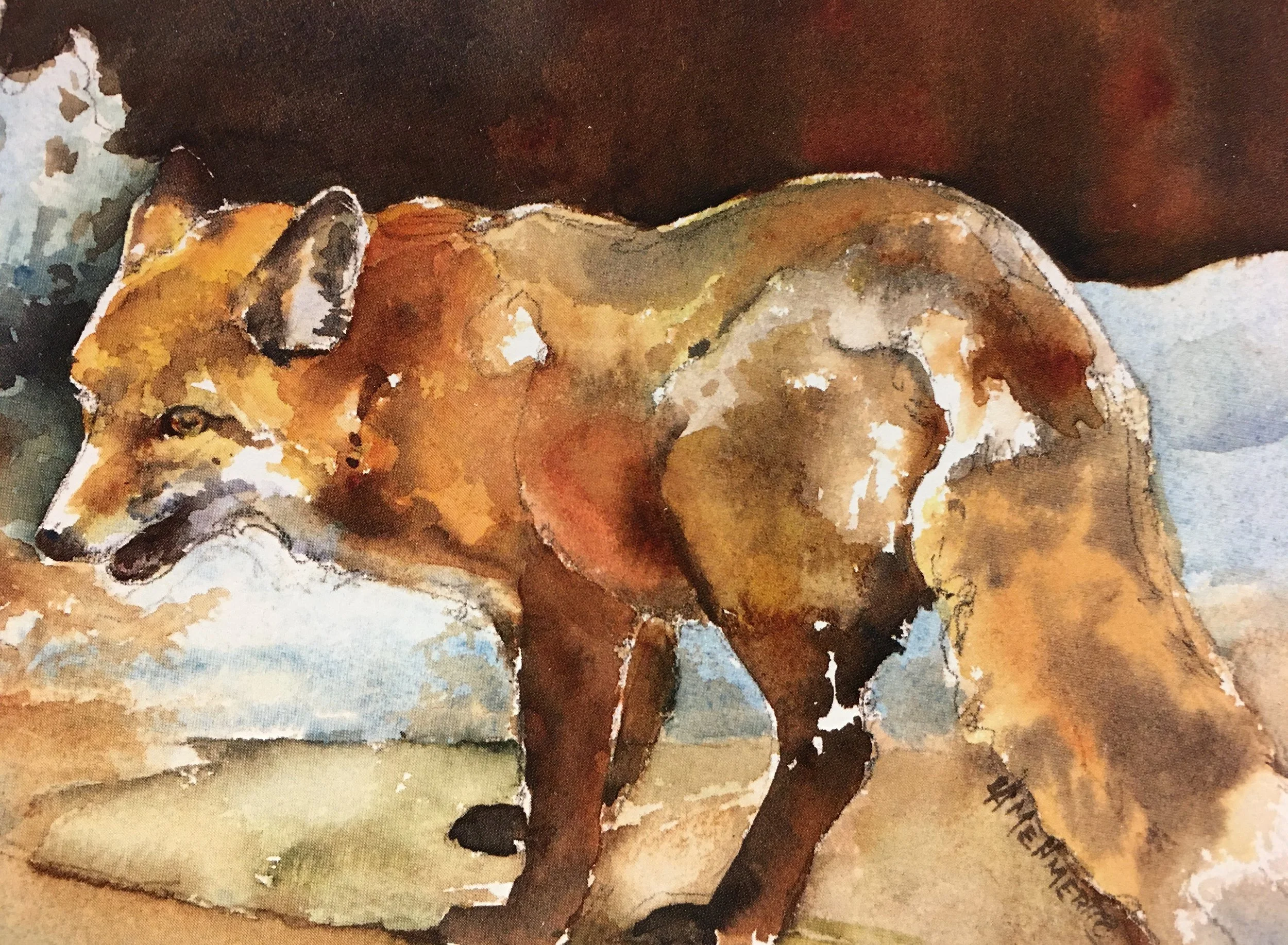 Red Fox Turning01688_5908.JPG