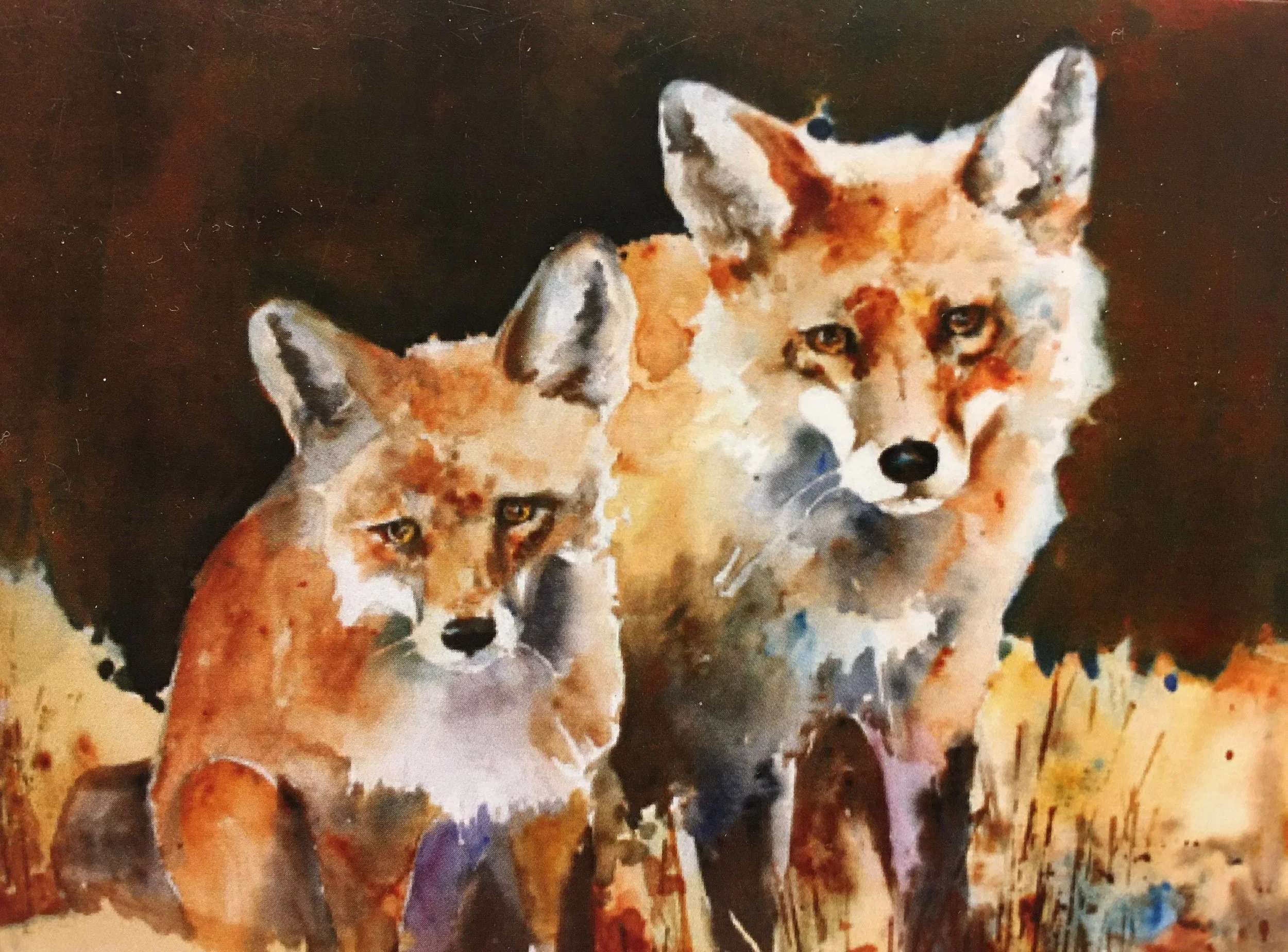 Two Red Fox01428_6309.JPG