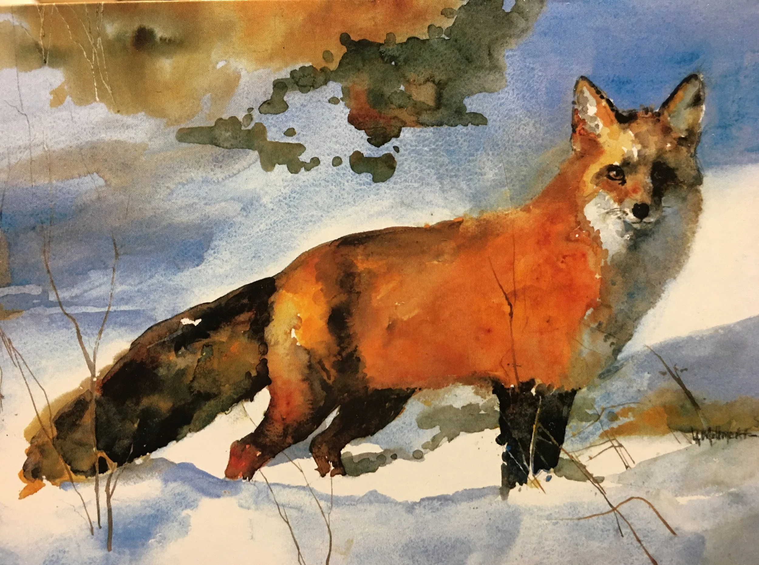 Fox Two01414_5524.JPG