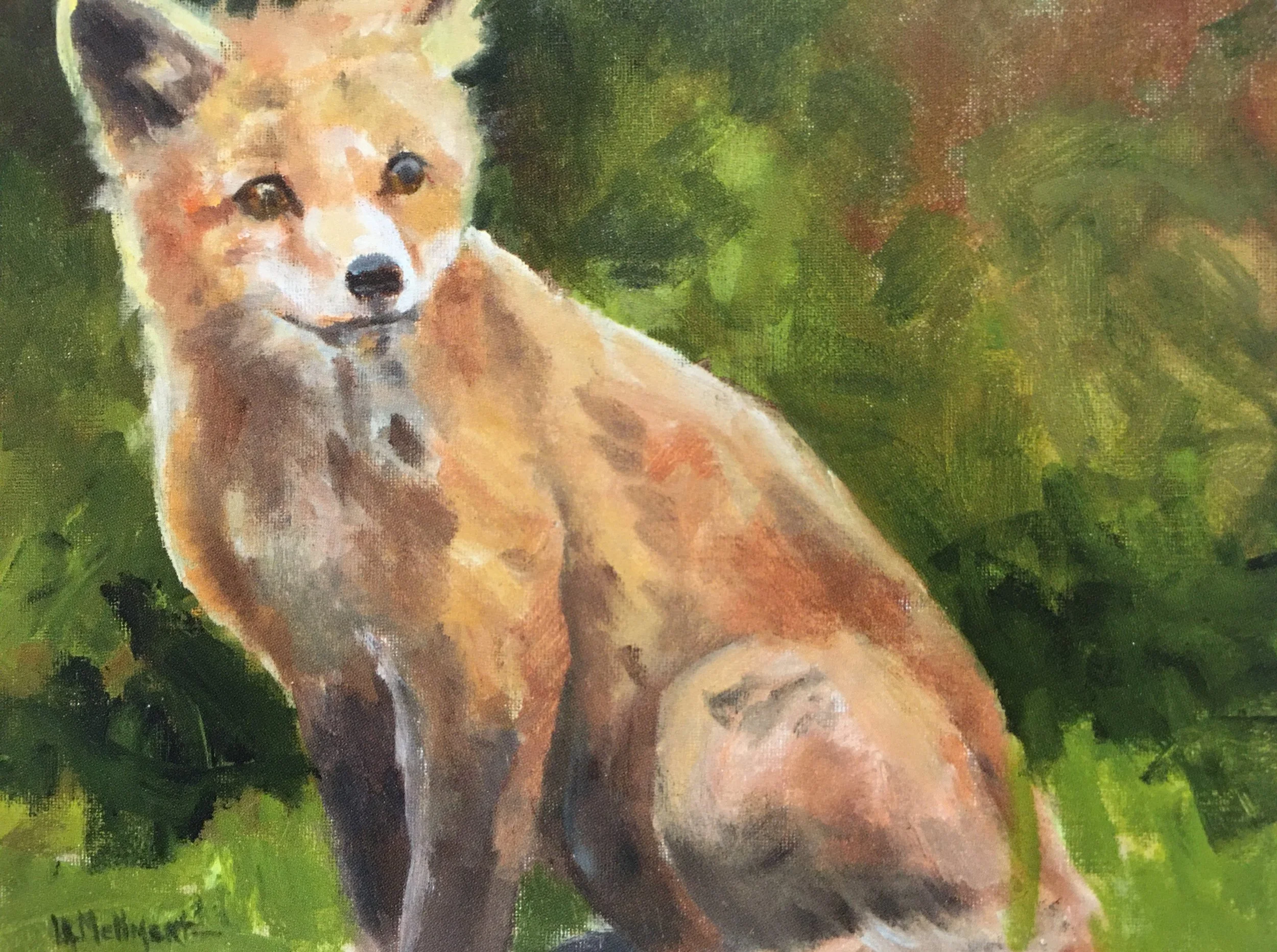 Fox Kit One01827_5935.JPG