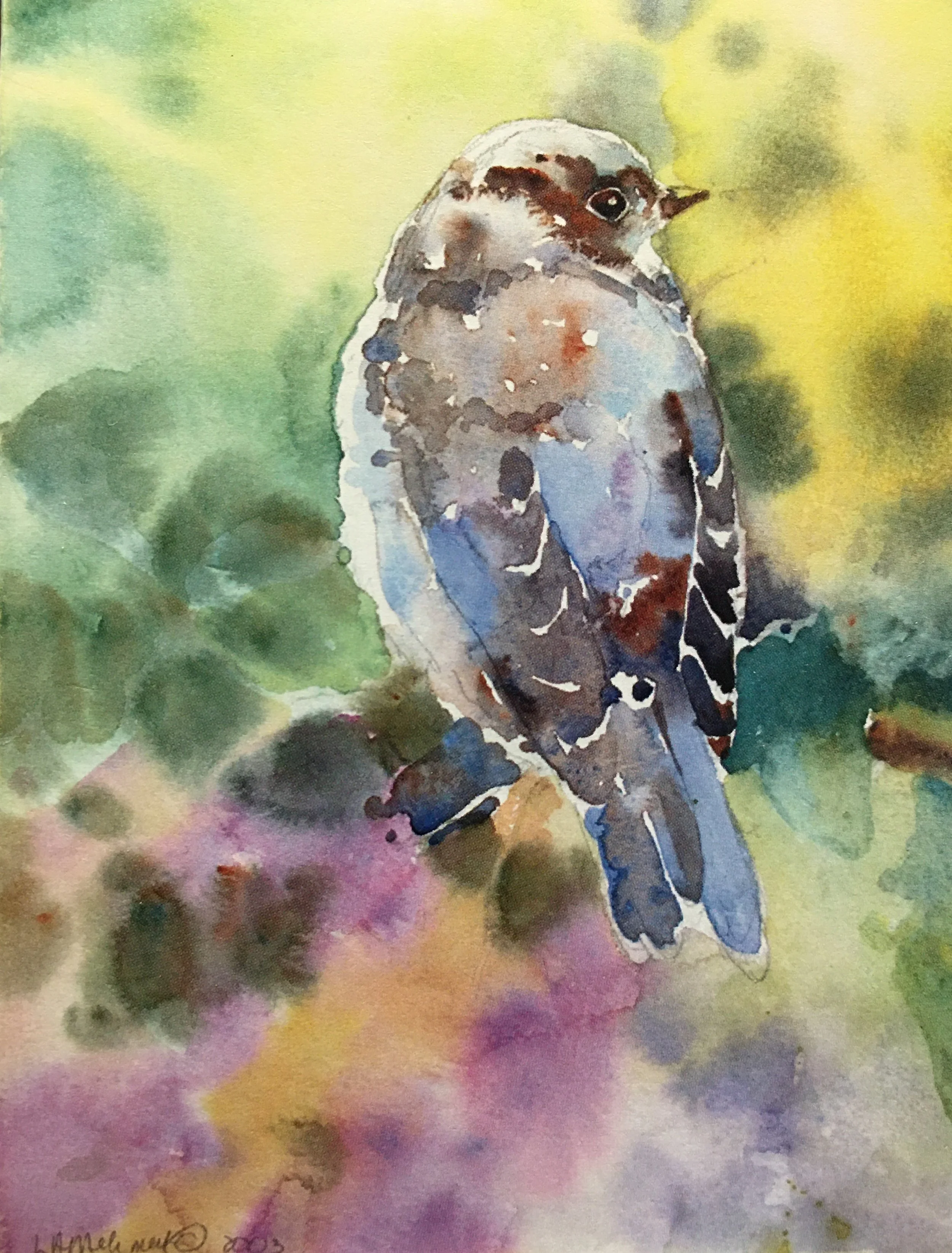 Baby Bluebird01391_5516.JPG