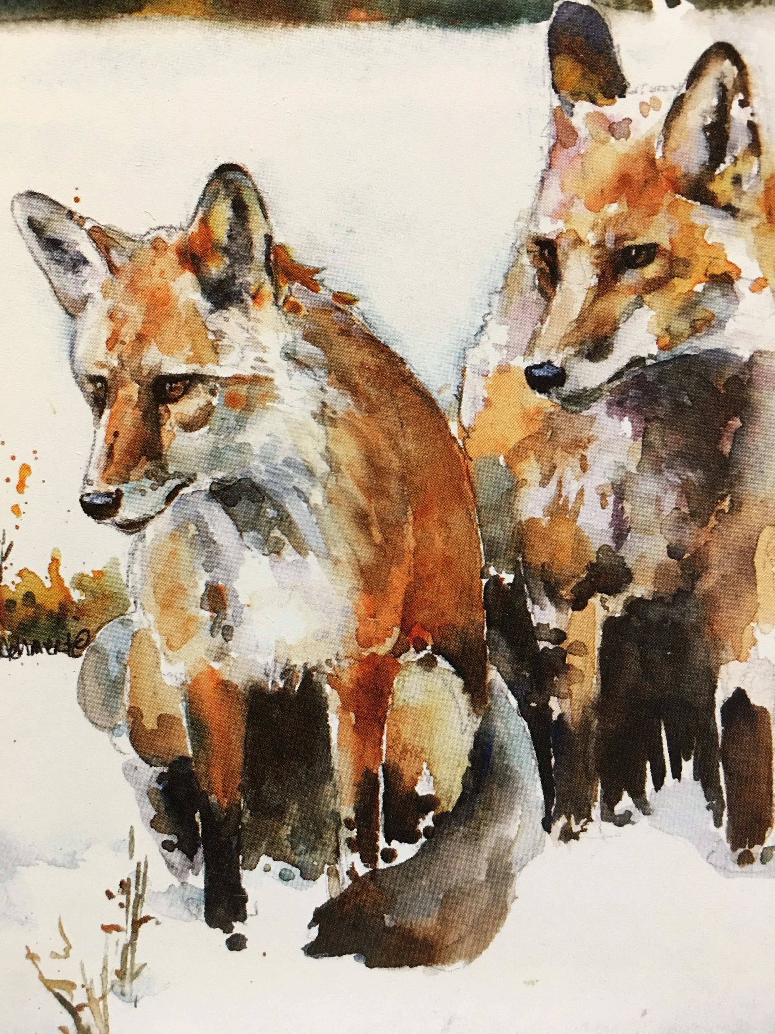 Fox Duo01489_5547.JPG