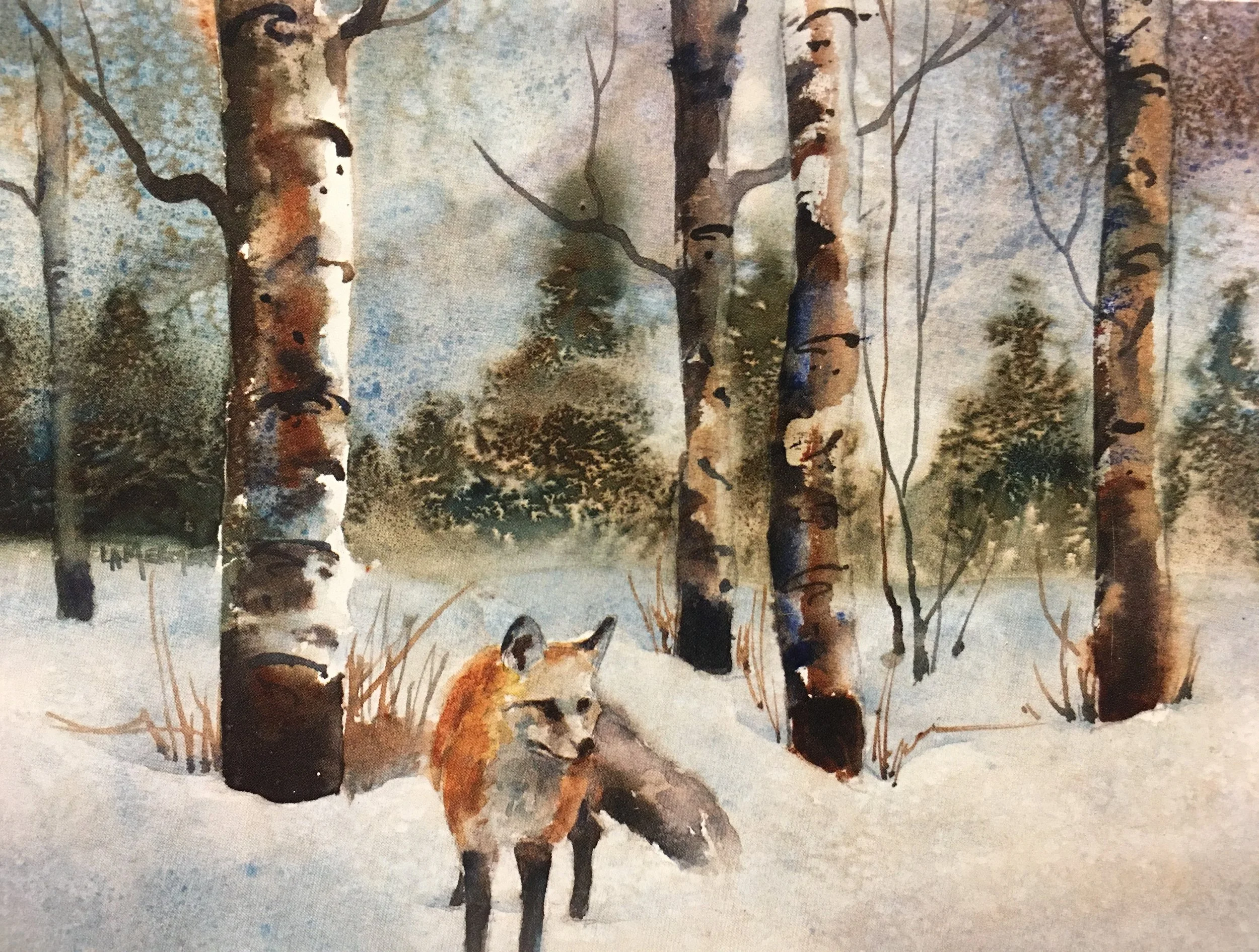 Little Red Fox01881_5931.JPG