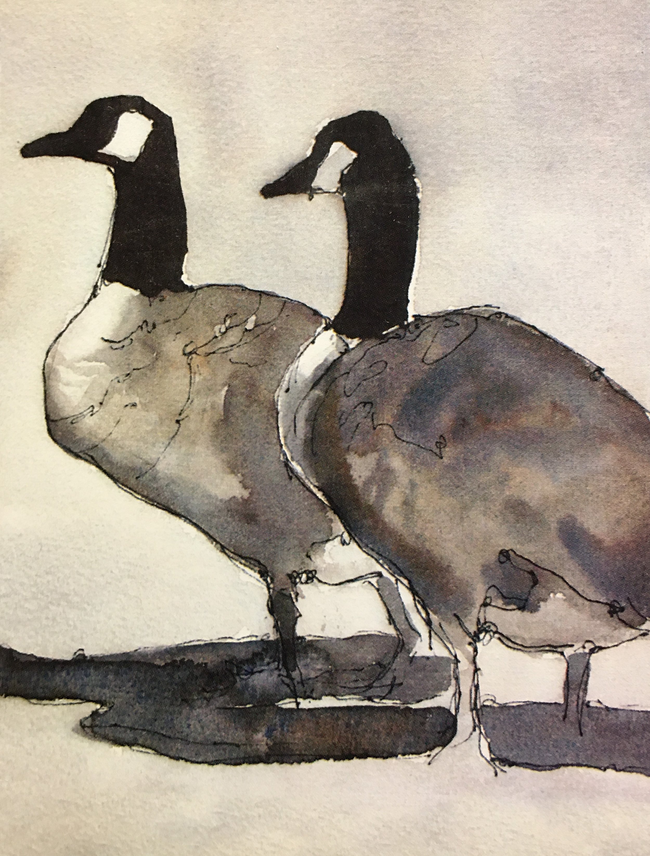 Two Canada01269_5504.JPG