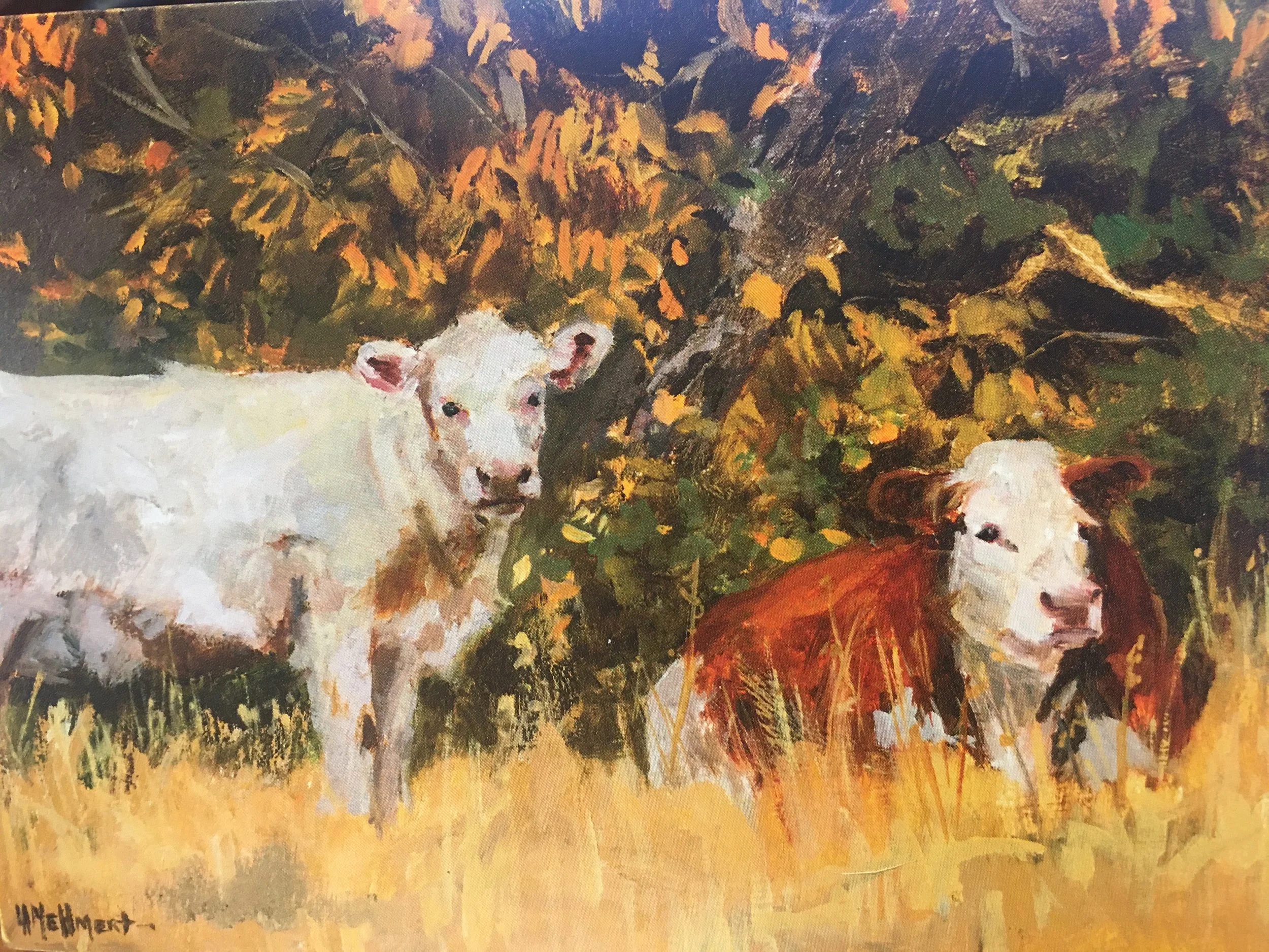 Under the Willows07927.JPG