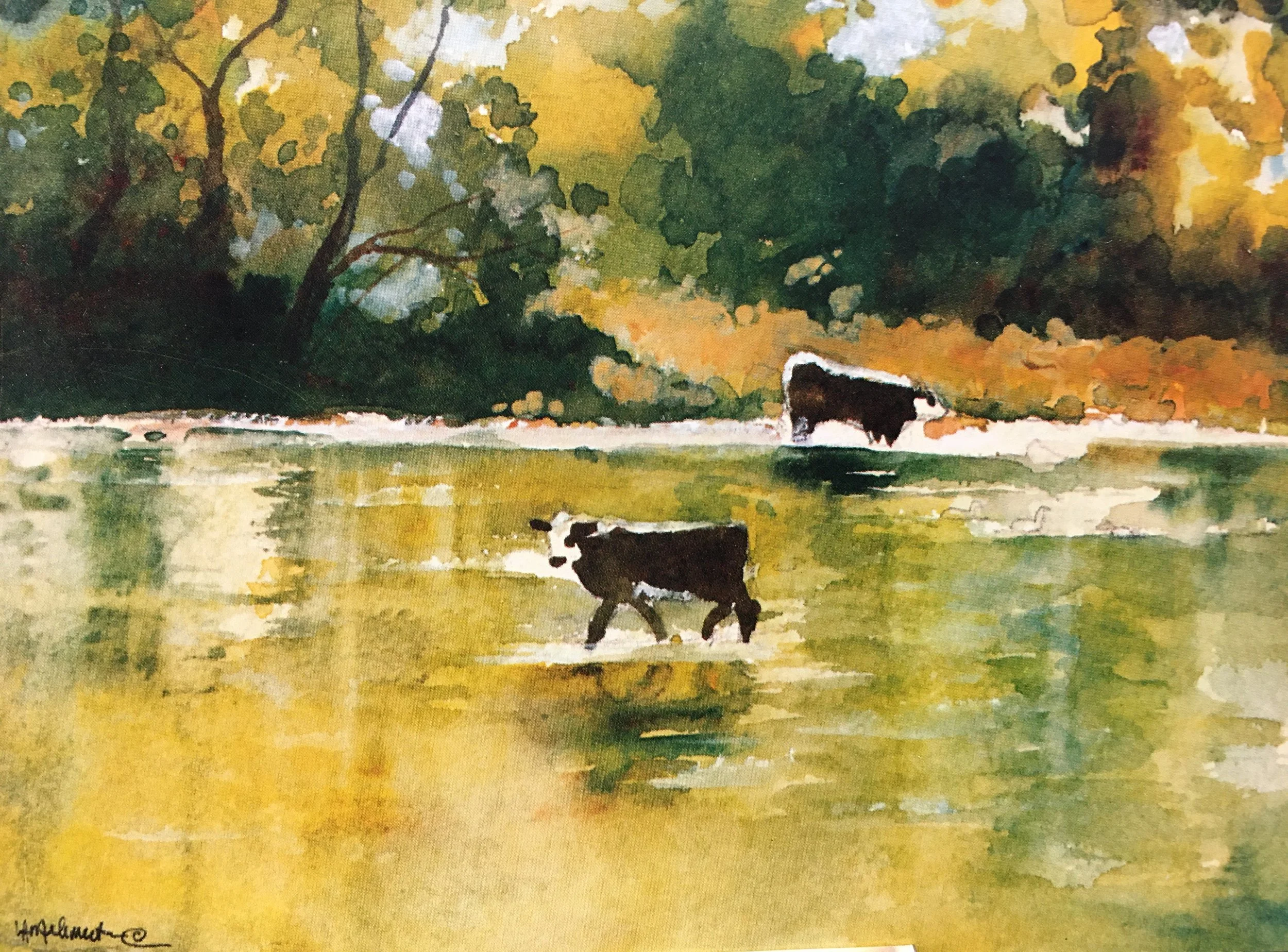 Cows in Water07105.JPG