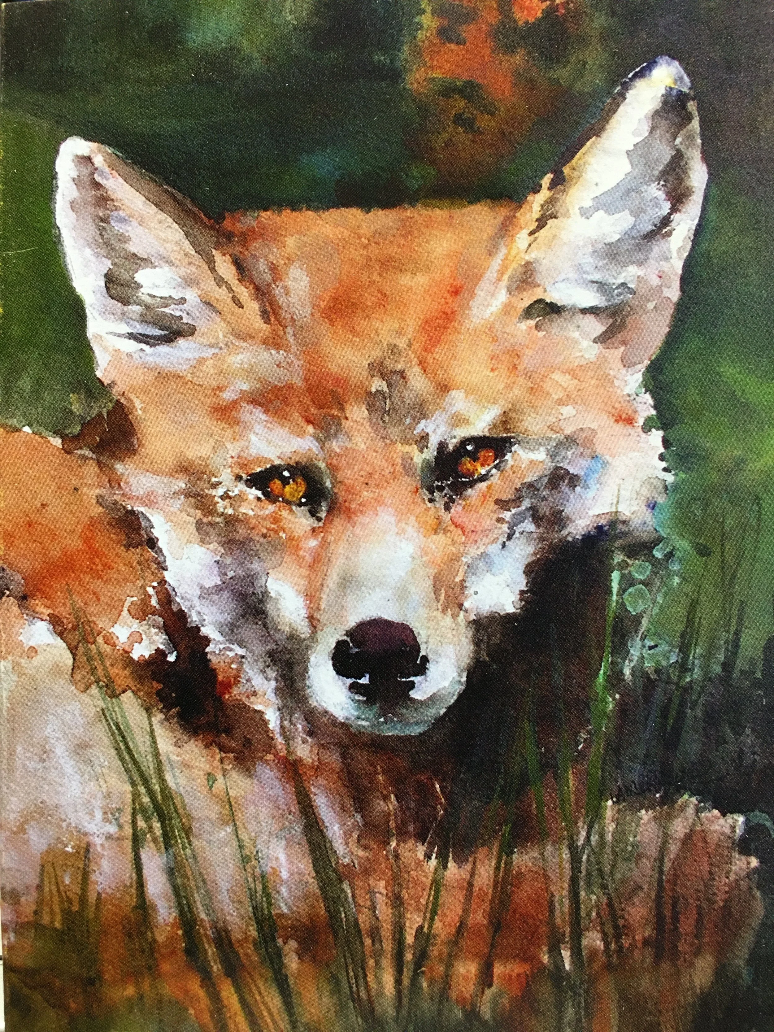 Beckys Fox01461_5552.JPG