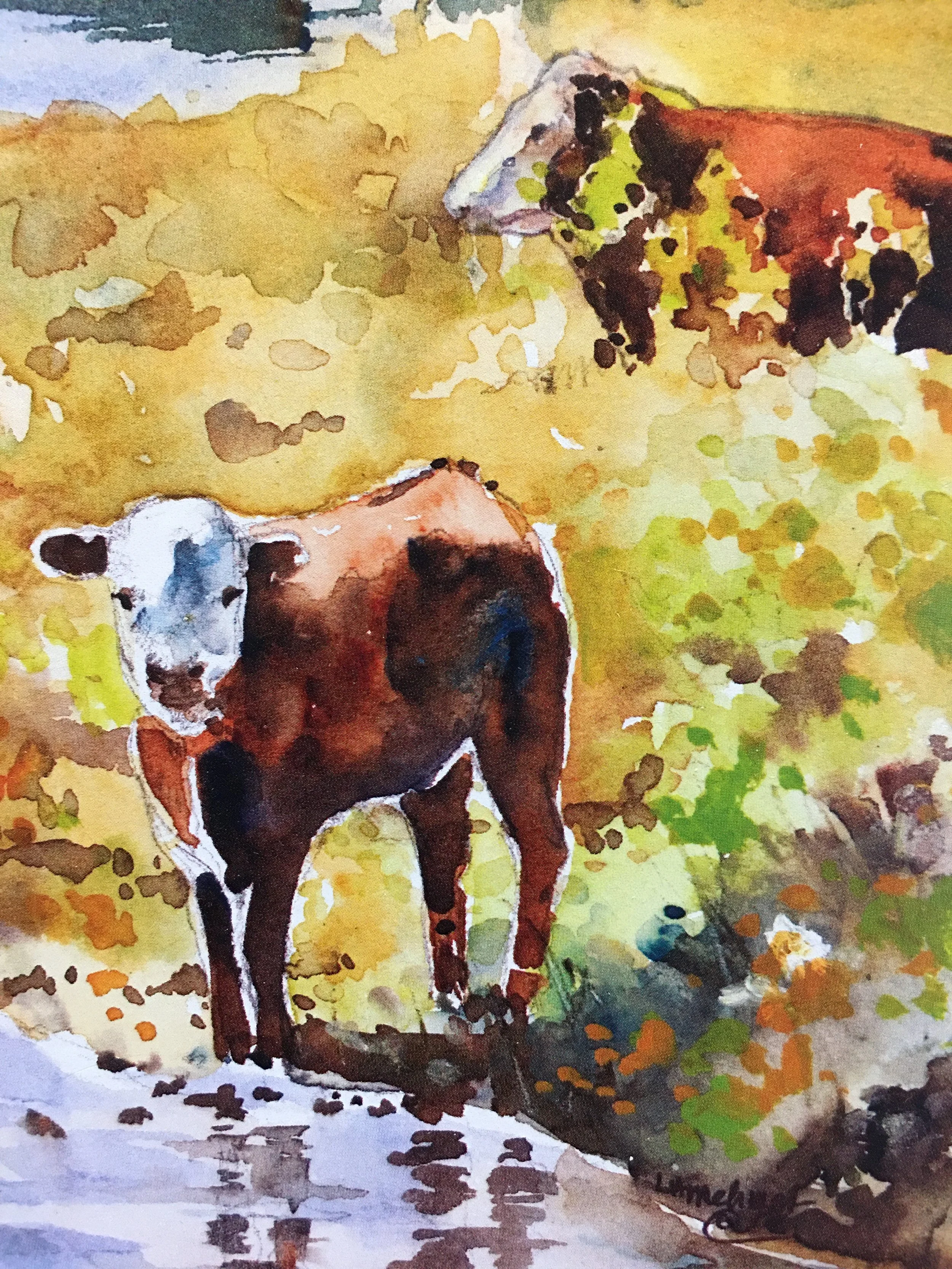 Baby Hereford with Mom07553.JPG