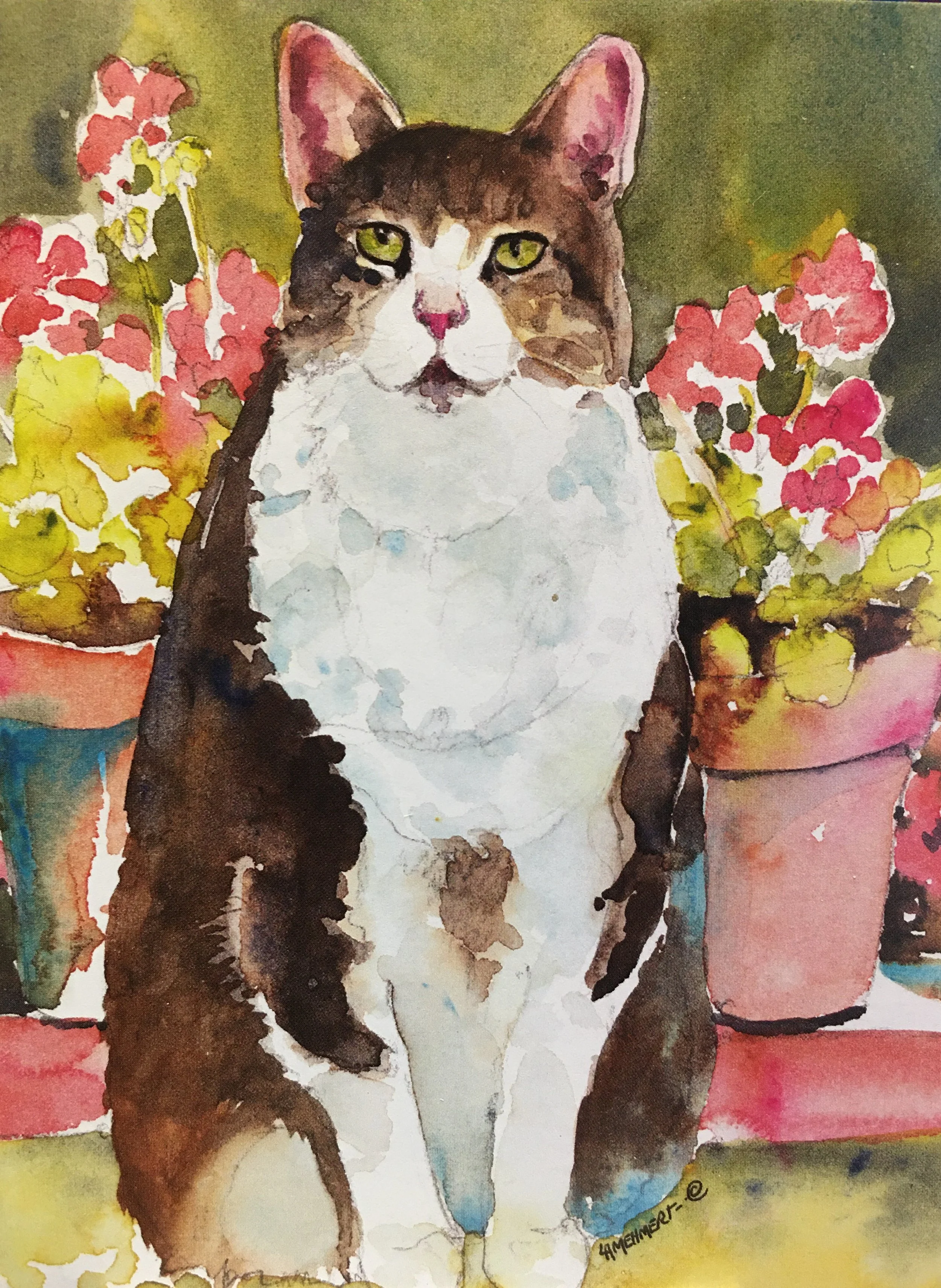 Cat with Geraniums04024.JPG