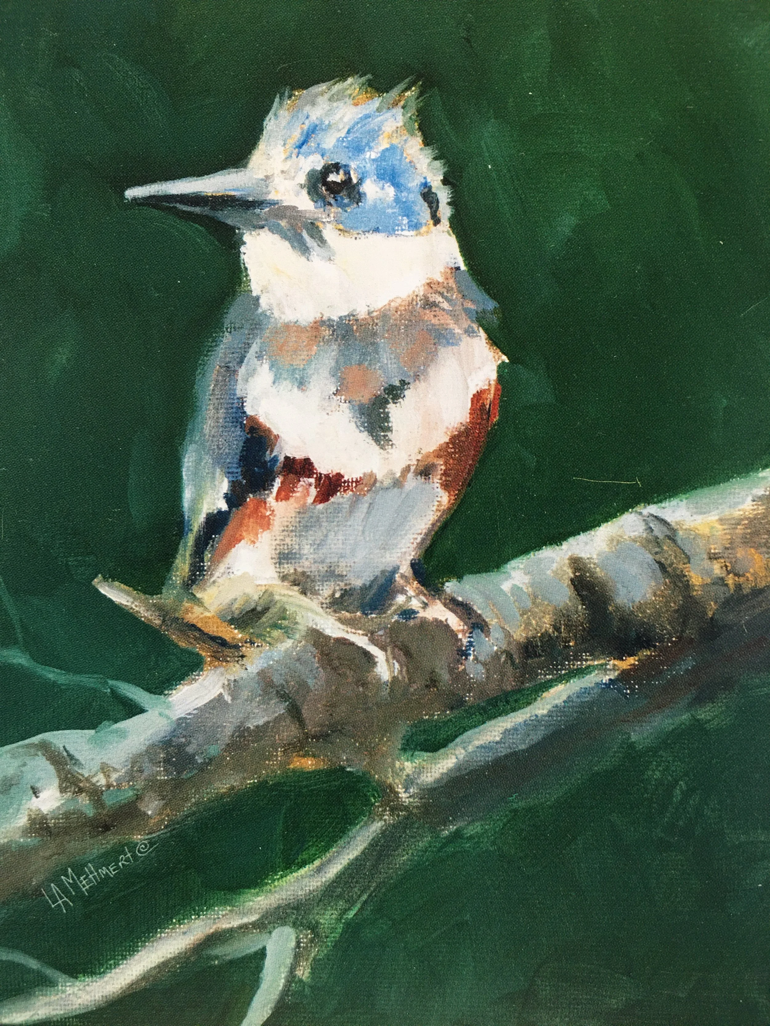 King Fisher01907_5967.JPG