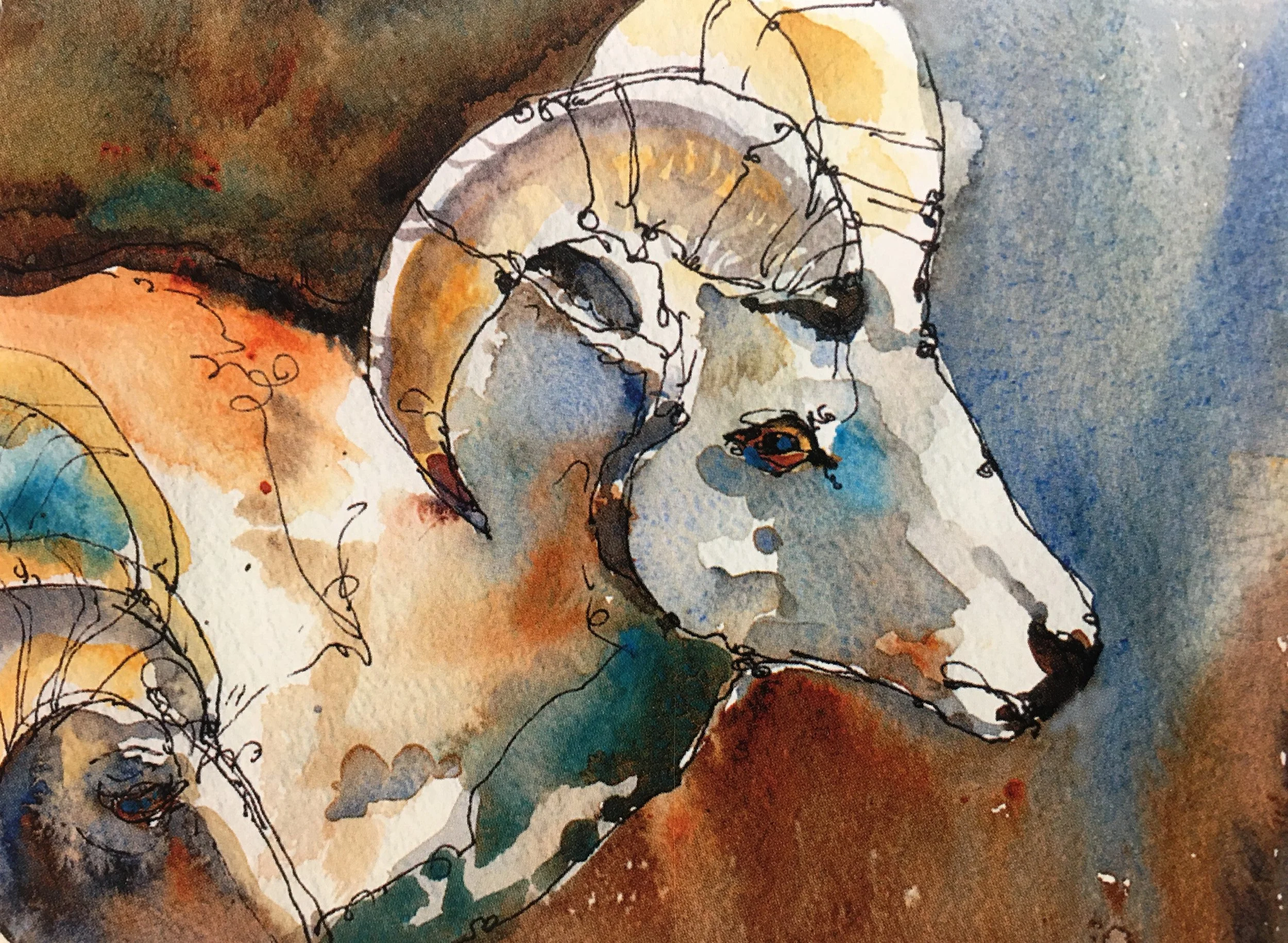 Bighorn Sheep01032.JPG