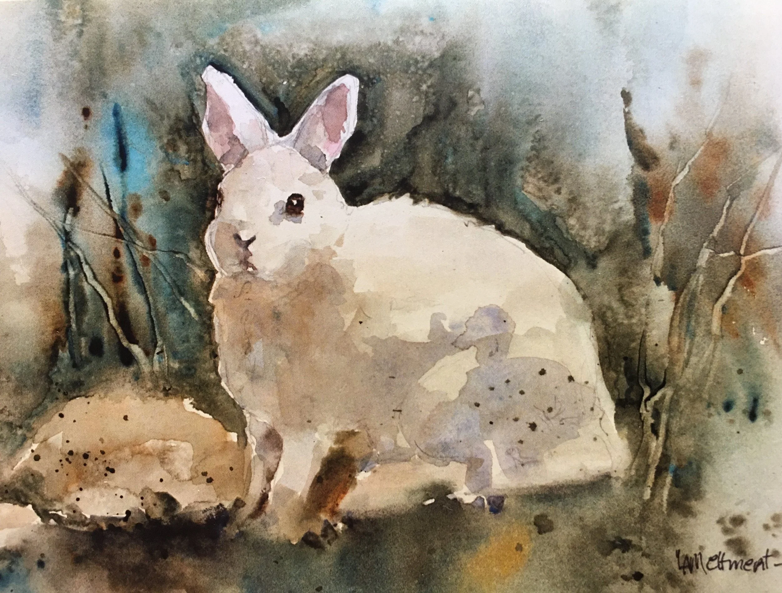 White Rabbit11008.JPG