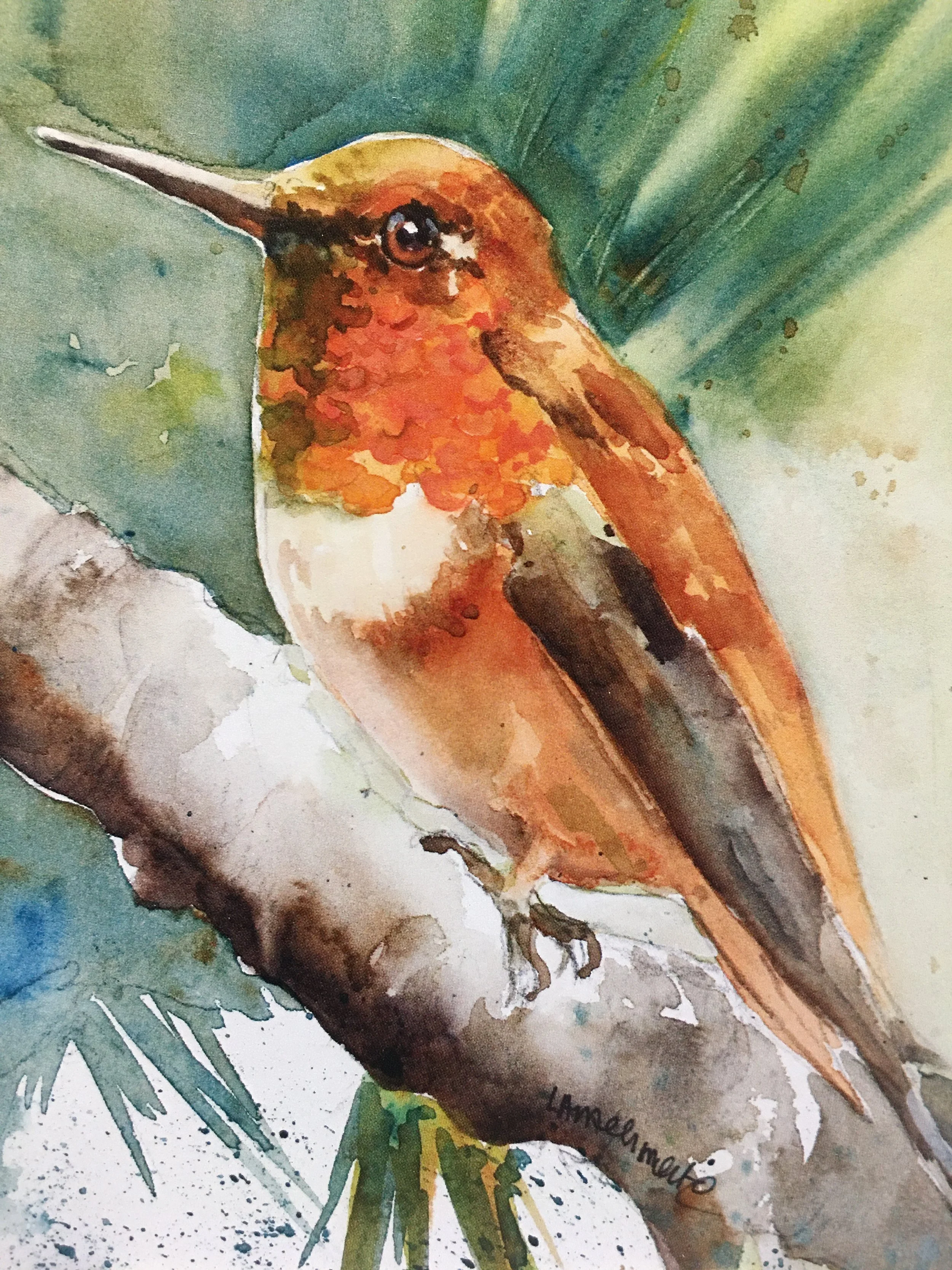 Rufous One01570_6016.JPG