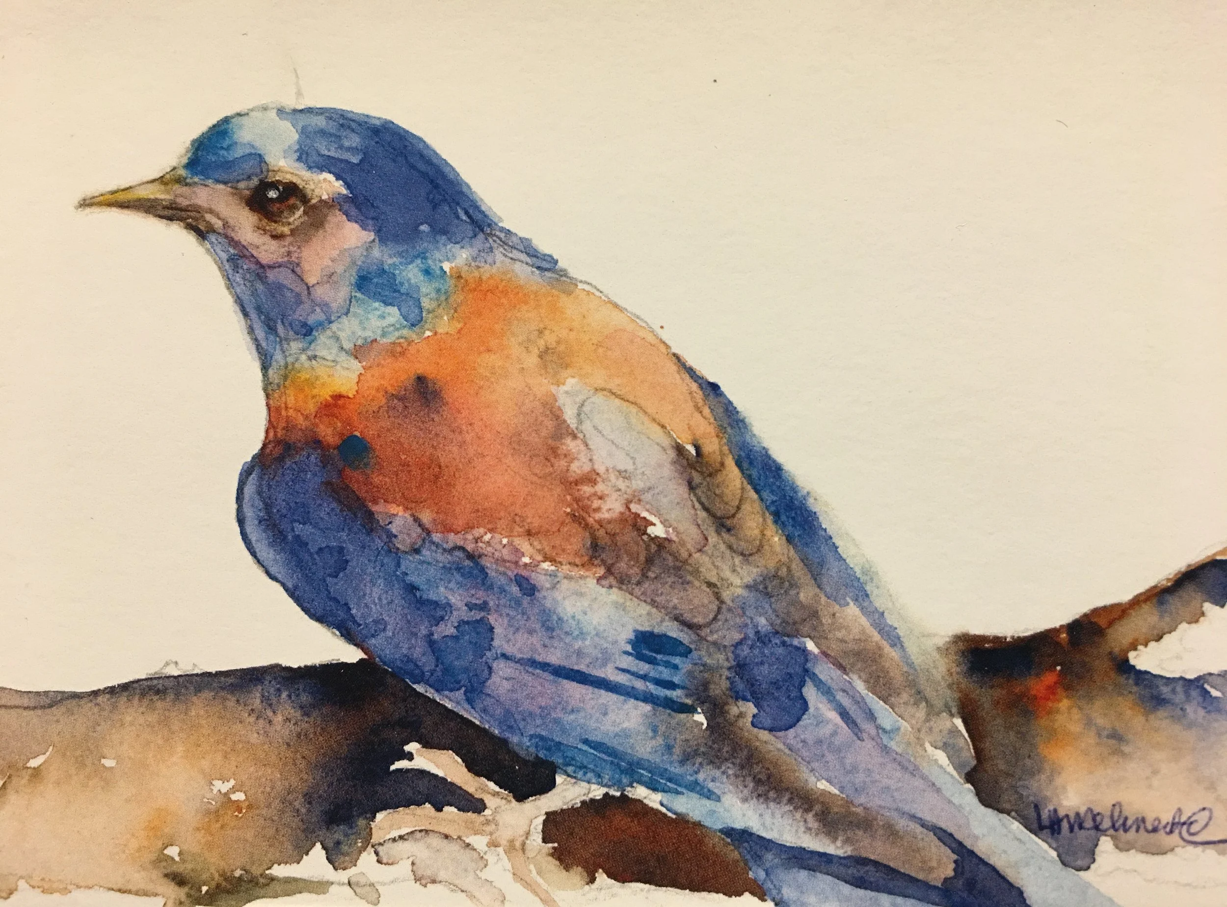 Resident Blue Bird01594_5918.JPG