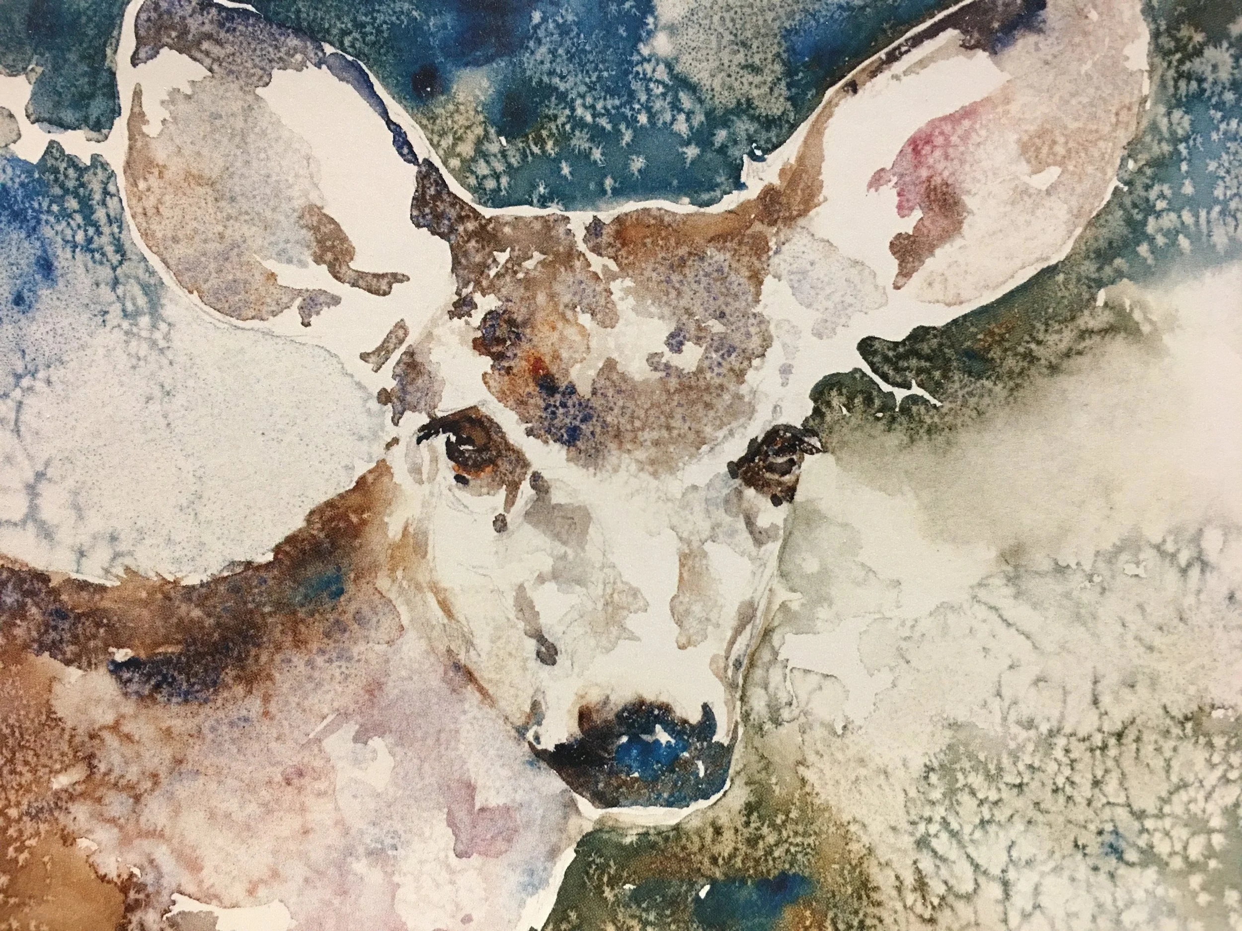 Oh Deer01626_5912.JPG