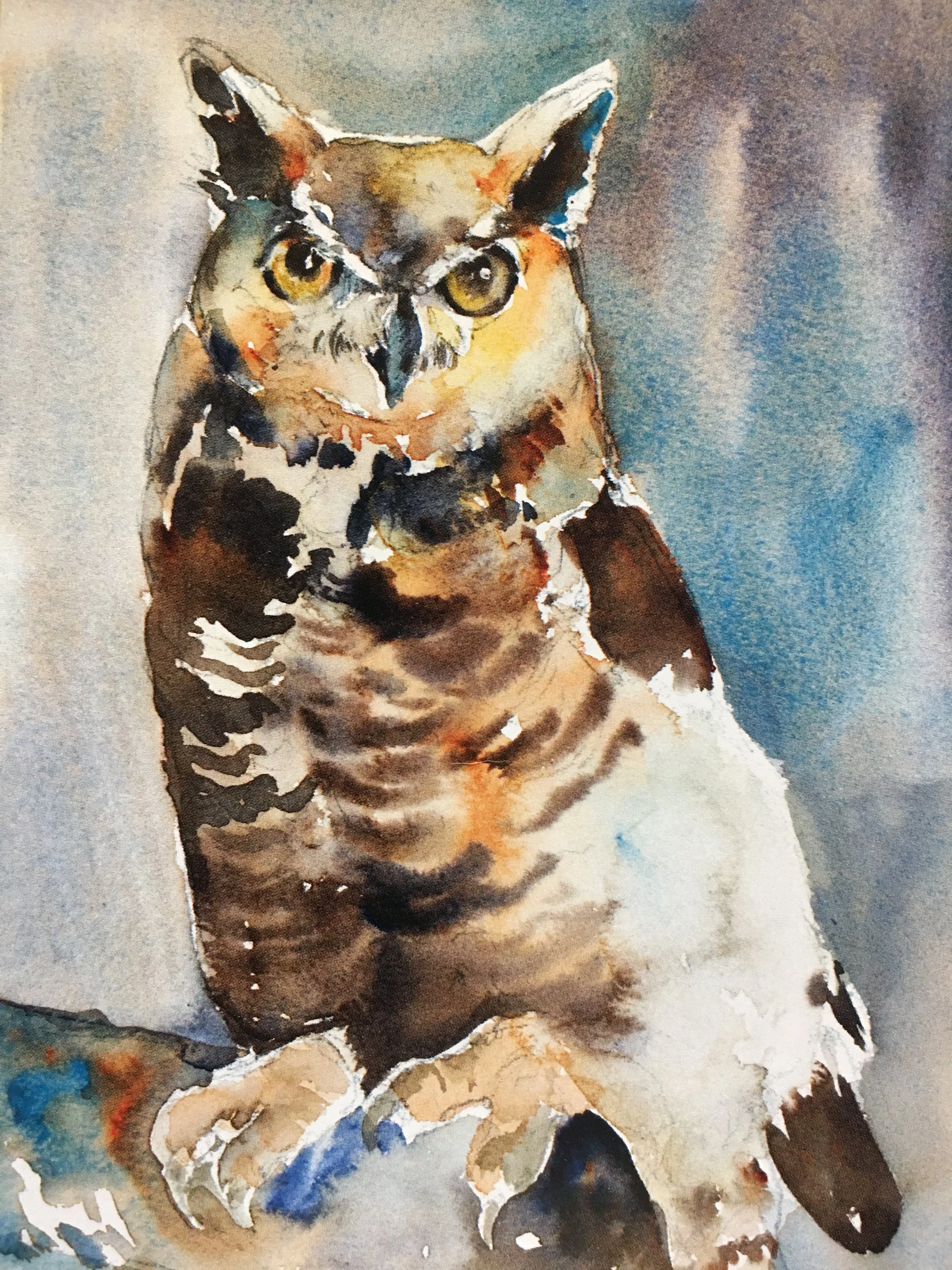 Frosty the Great Horned Owl01581_6018.JPG