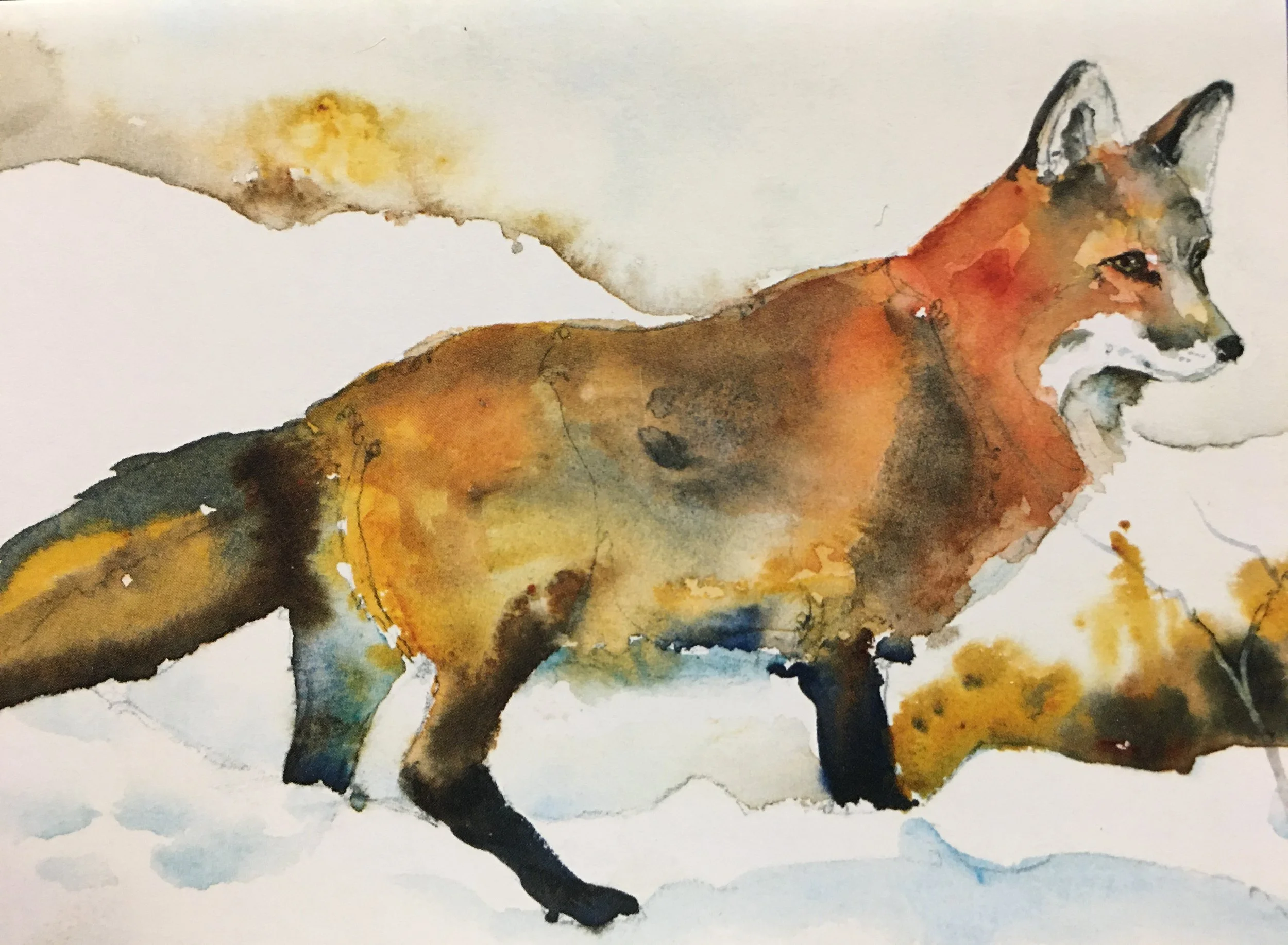 Fox Three05805_5939.JPG