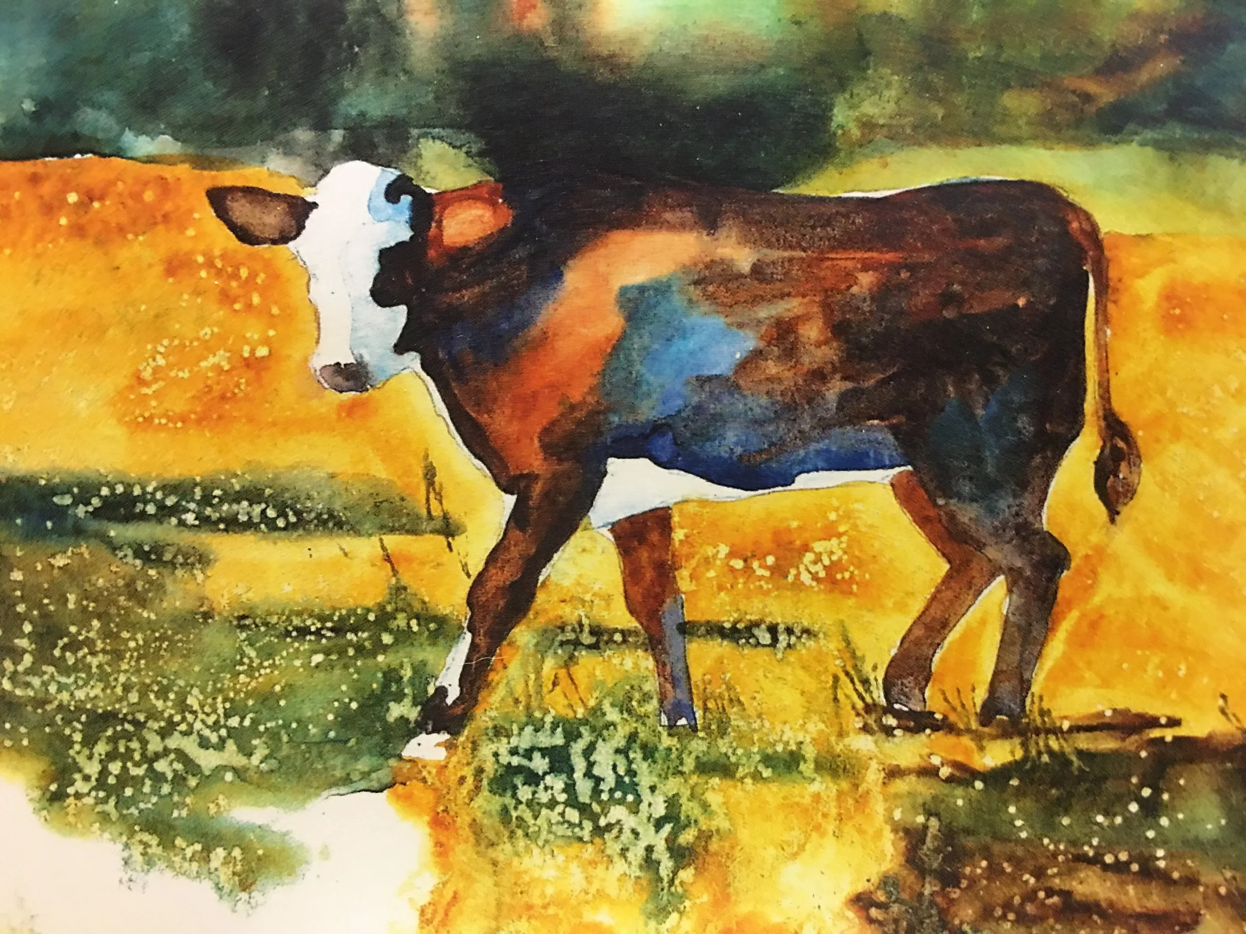Hereford Calf07217.JPG