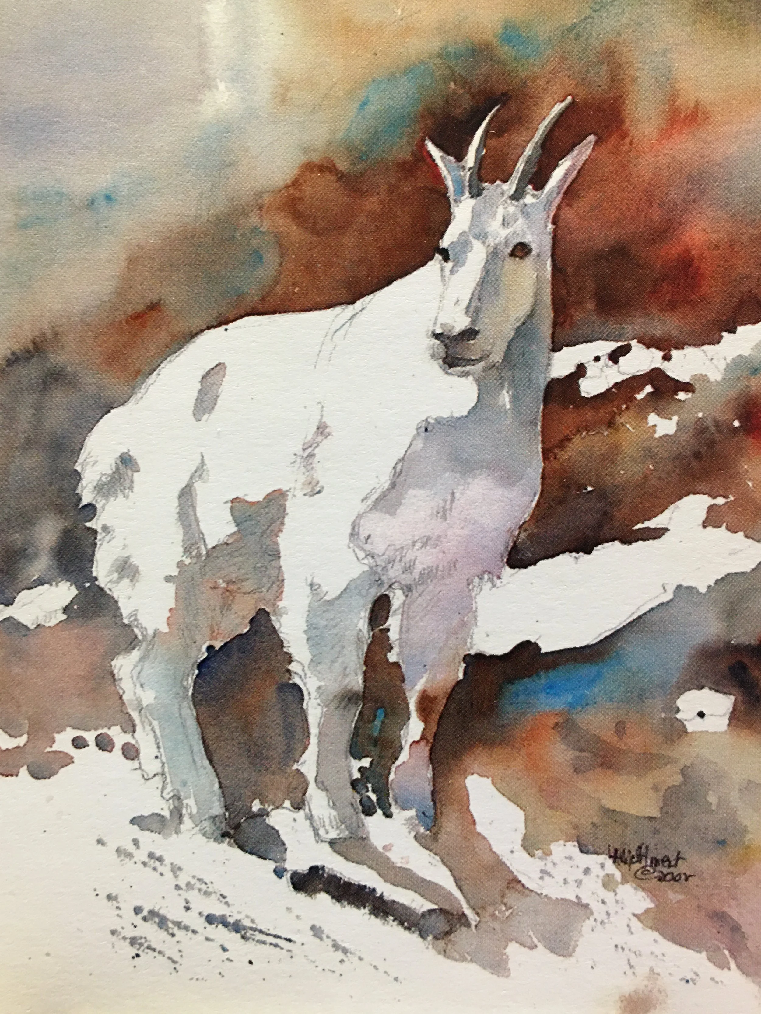 Mountain Goat Two01303.JPG