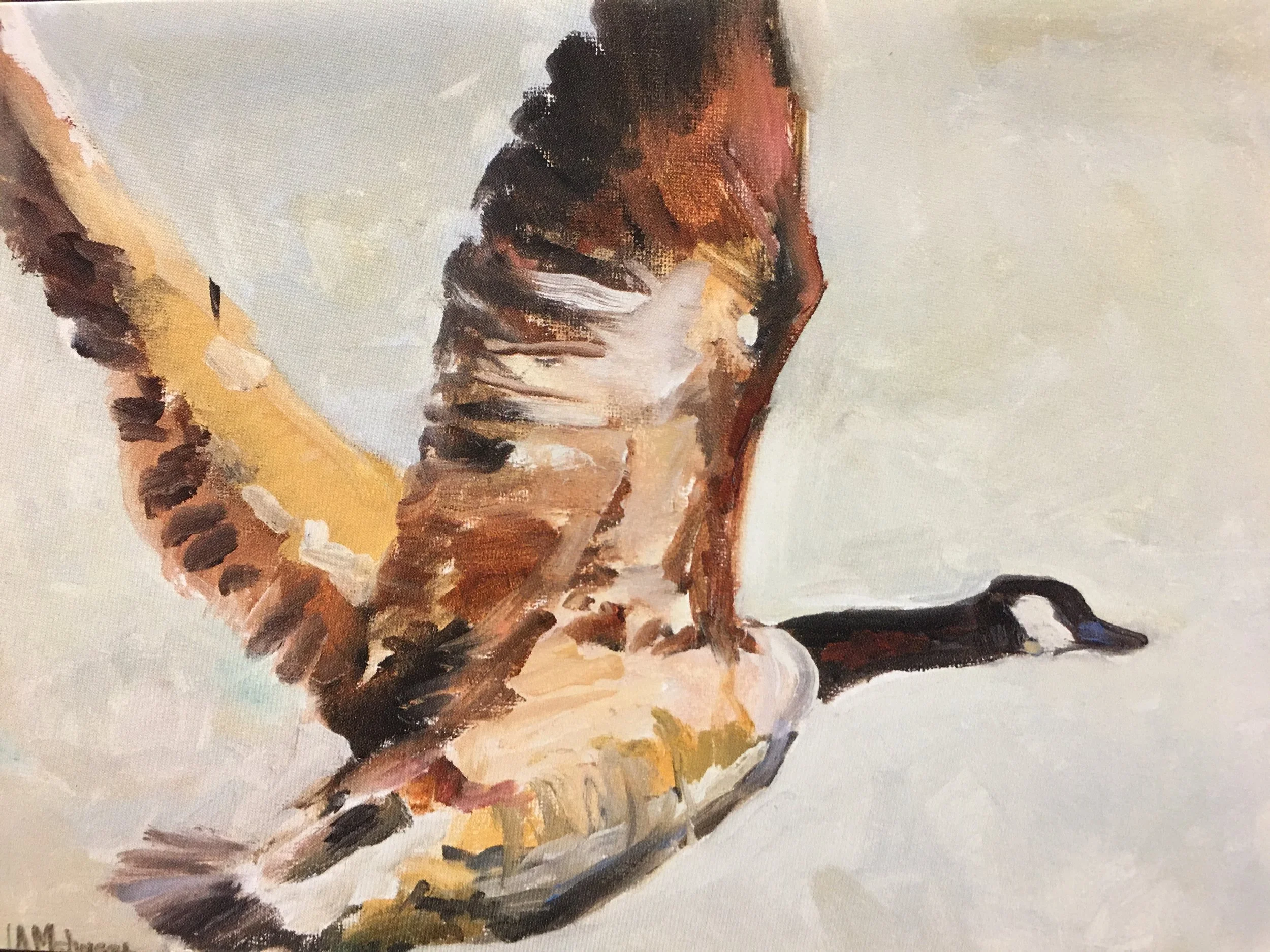 On the Fly01815_5940.JPG