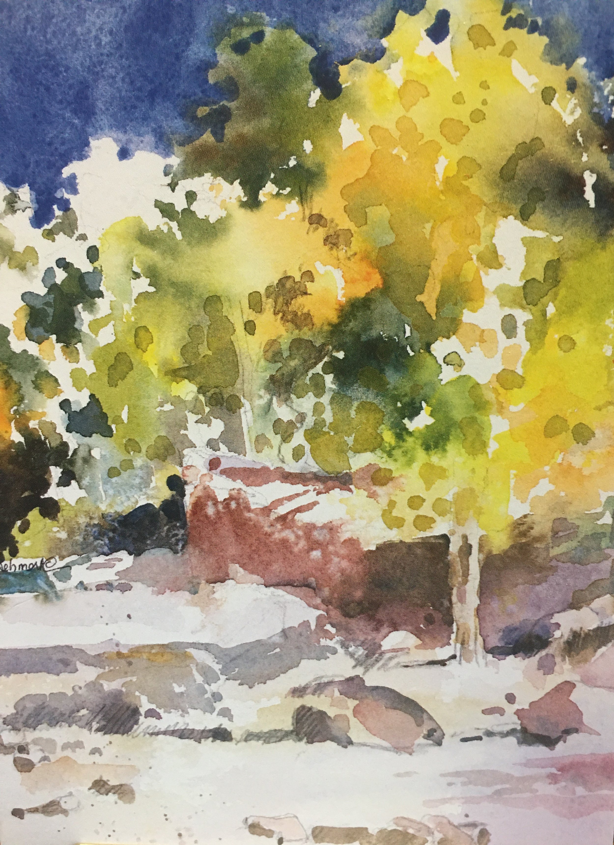 Golds and Blues05552.JPG