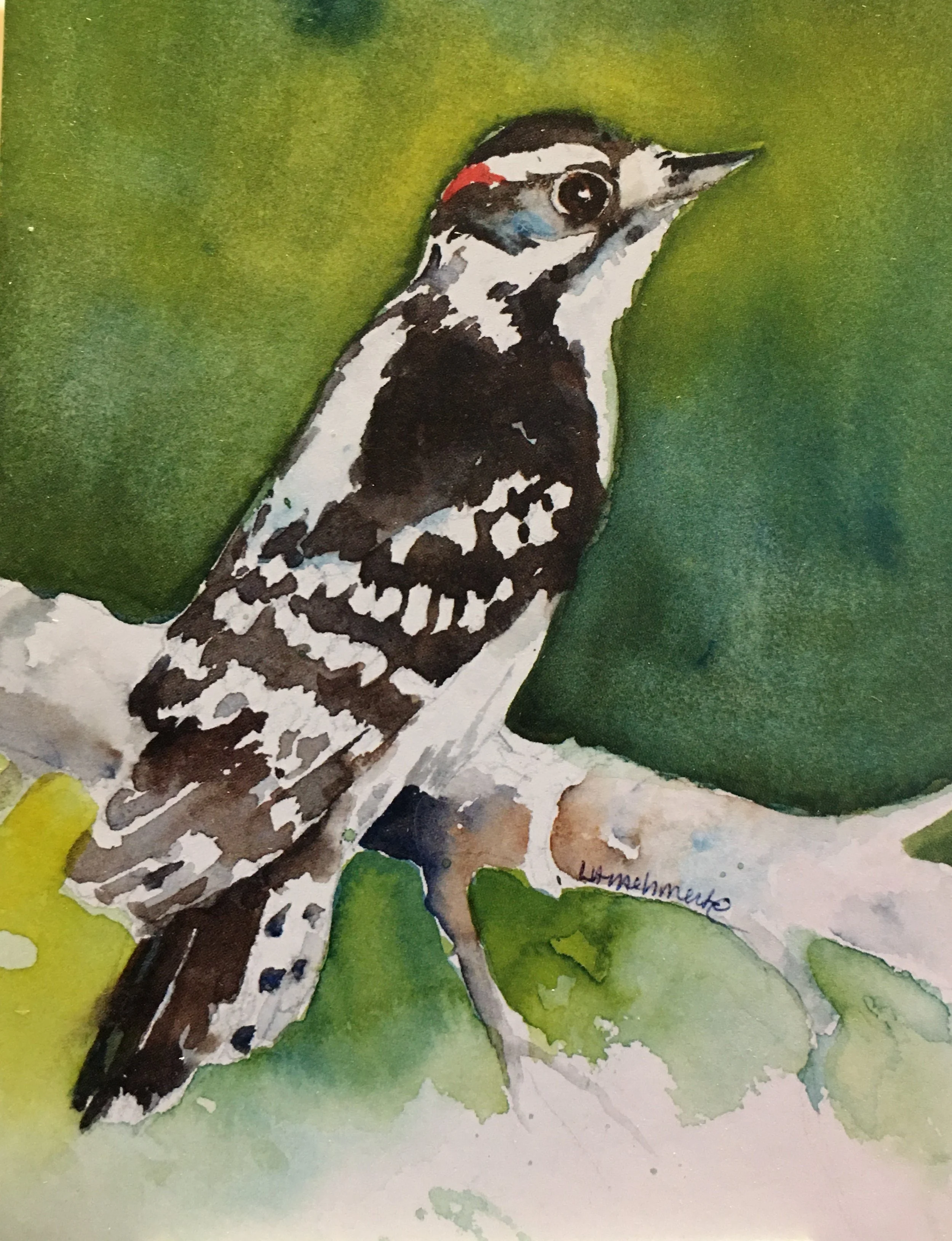 Downy Woodpecker01321_5508.JPG