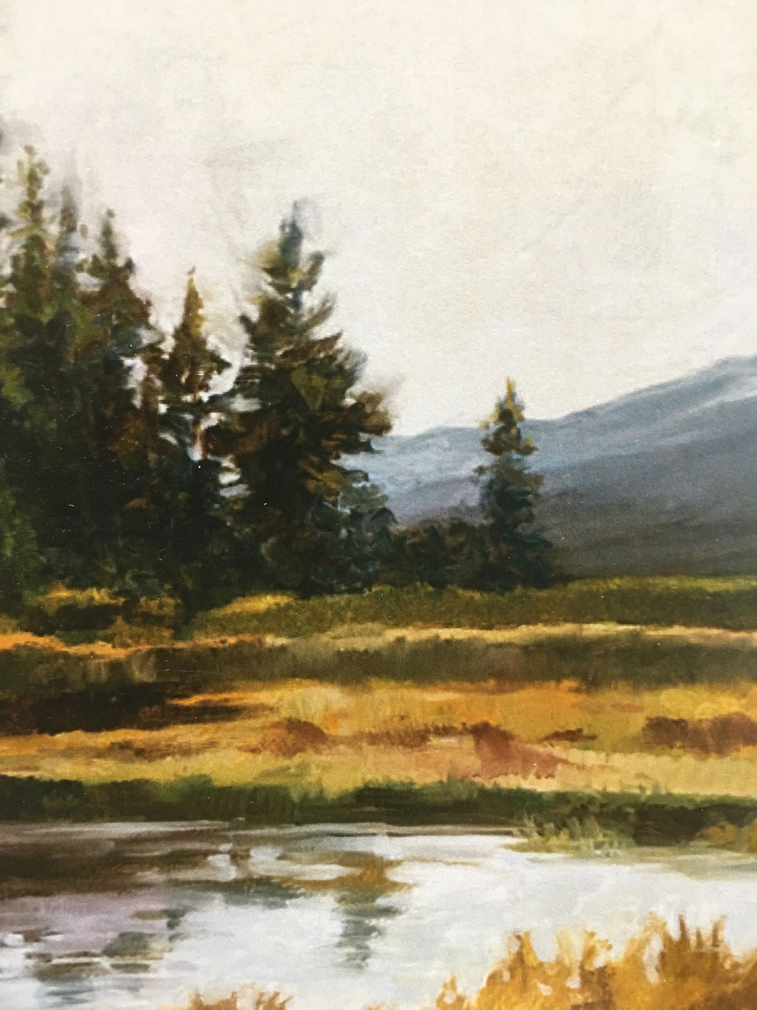 Looking for Moose05921.JPG