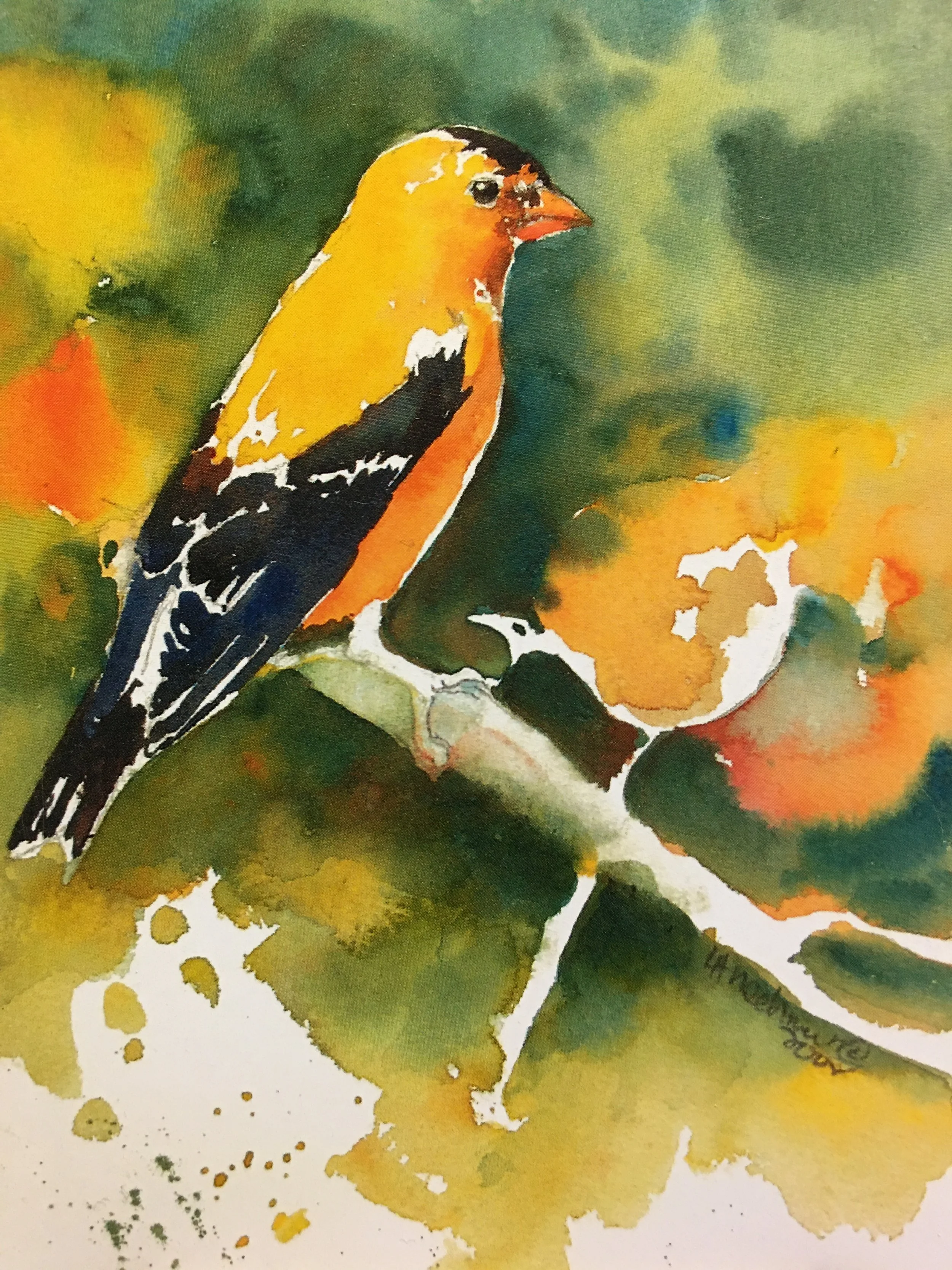 Song Bird01371_5523.JPG