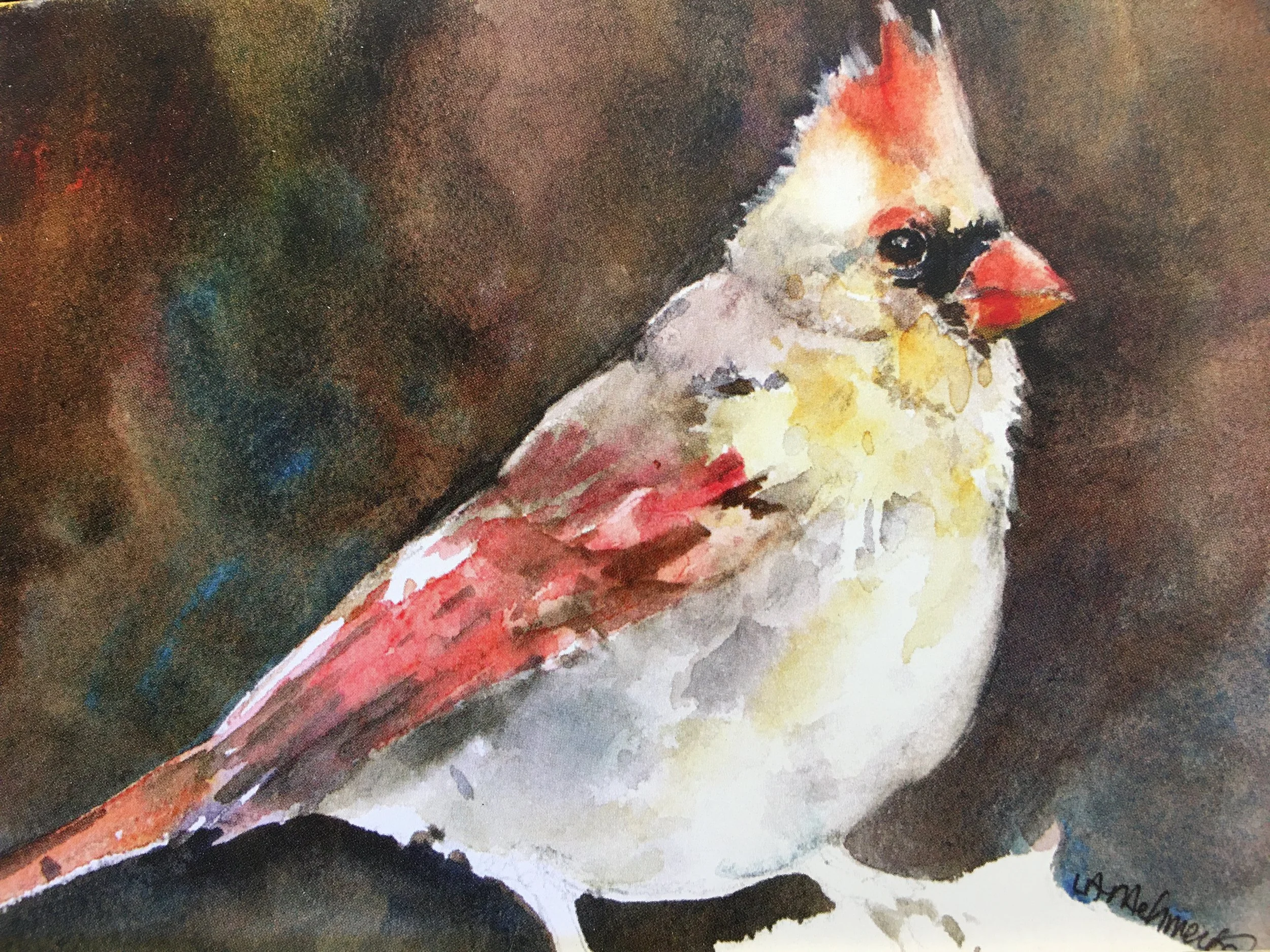 Female Cardinal01471_5258.JPG