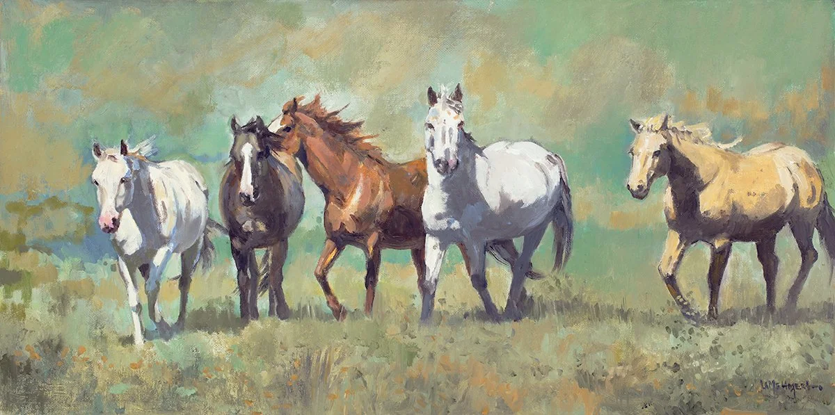Absaroka Horses