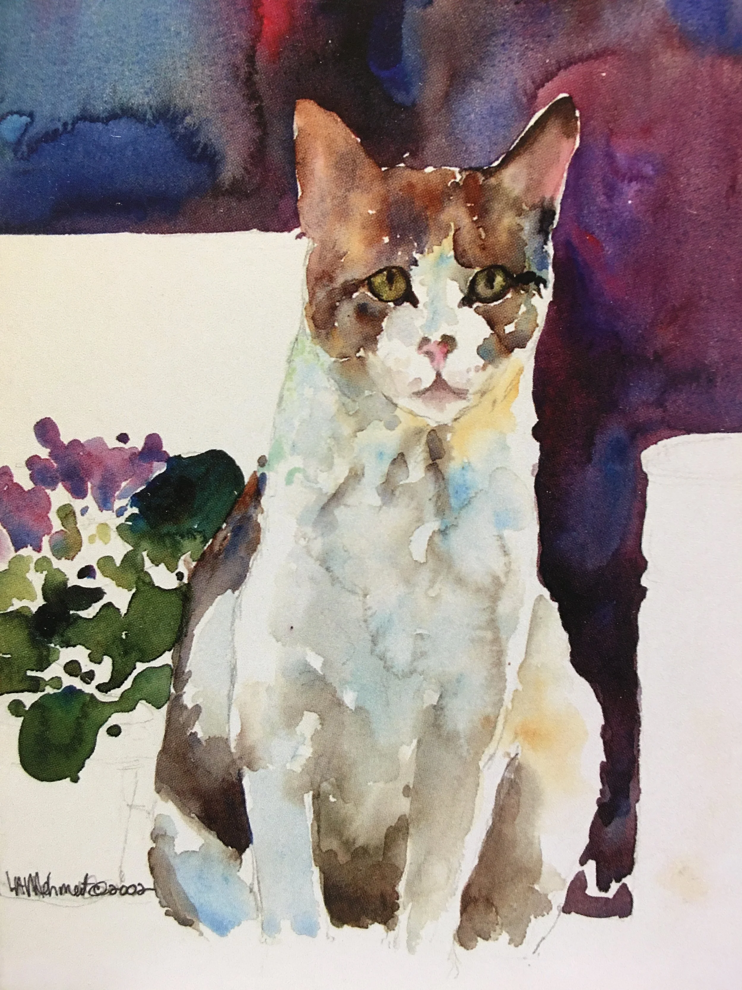 Kitty with Violets04350.JPG