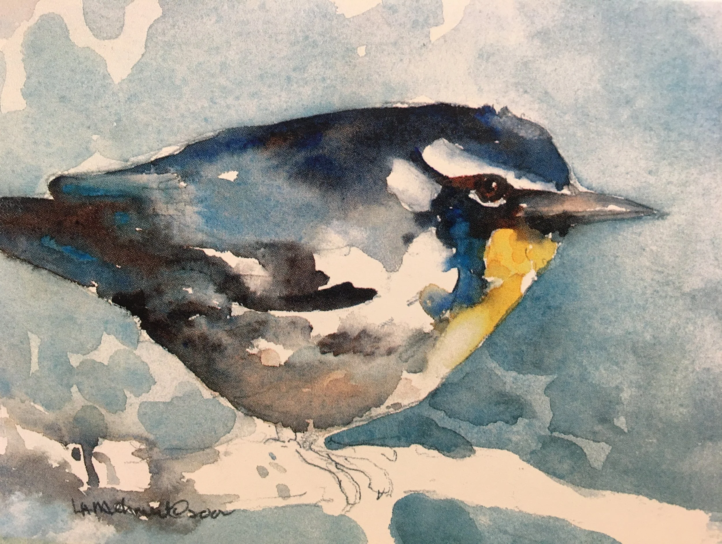 Yellow Throated Warbler01365_5260.JPG
