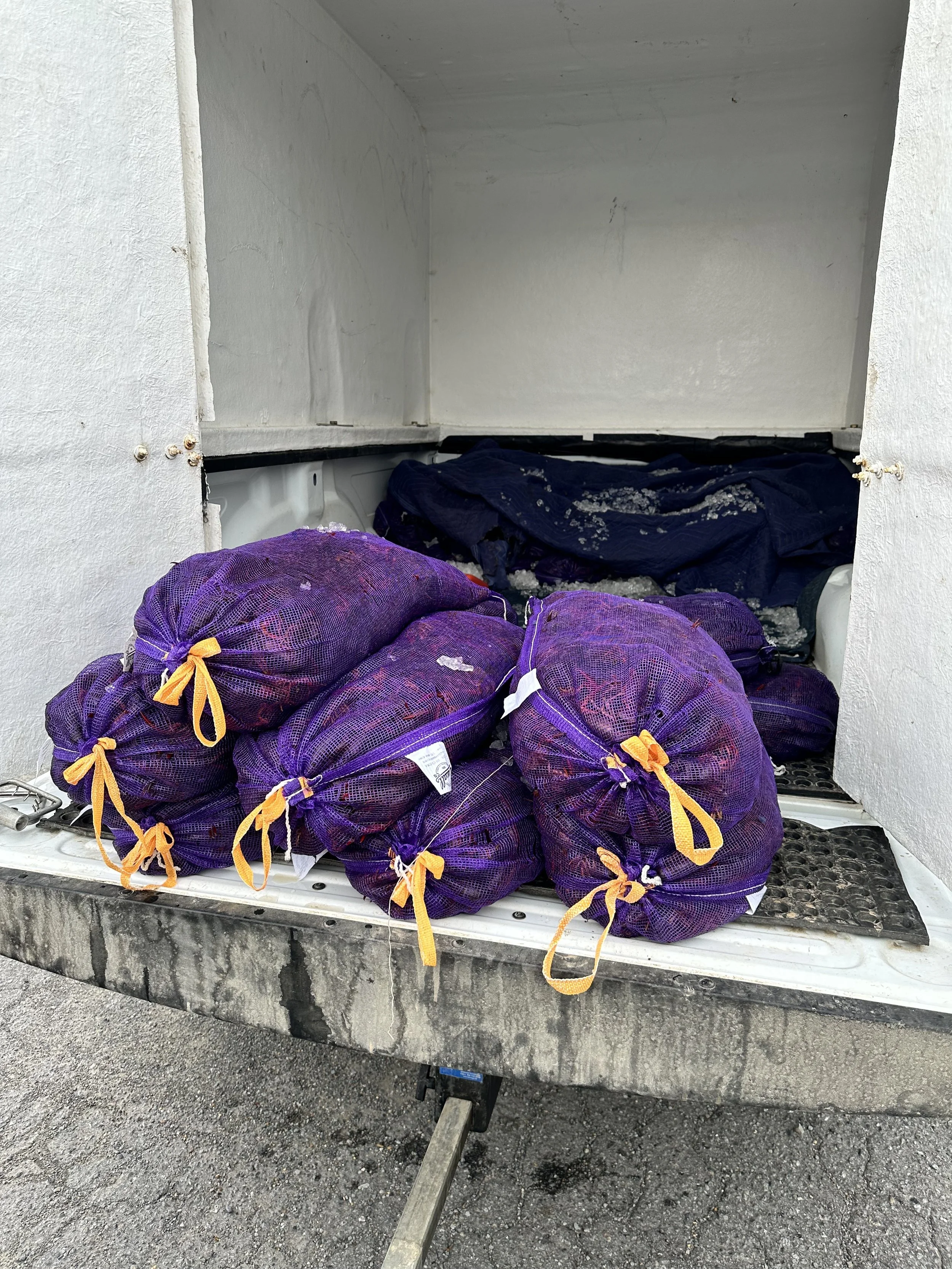 Several purple mesh bags with yellow and white ties filled with what appears to be trash, placed in the back of a white trash or utility vehicle.