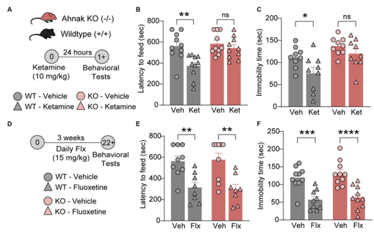 Screen Shot 2025-07-23 at 5.04.52 PM.png