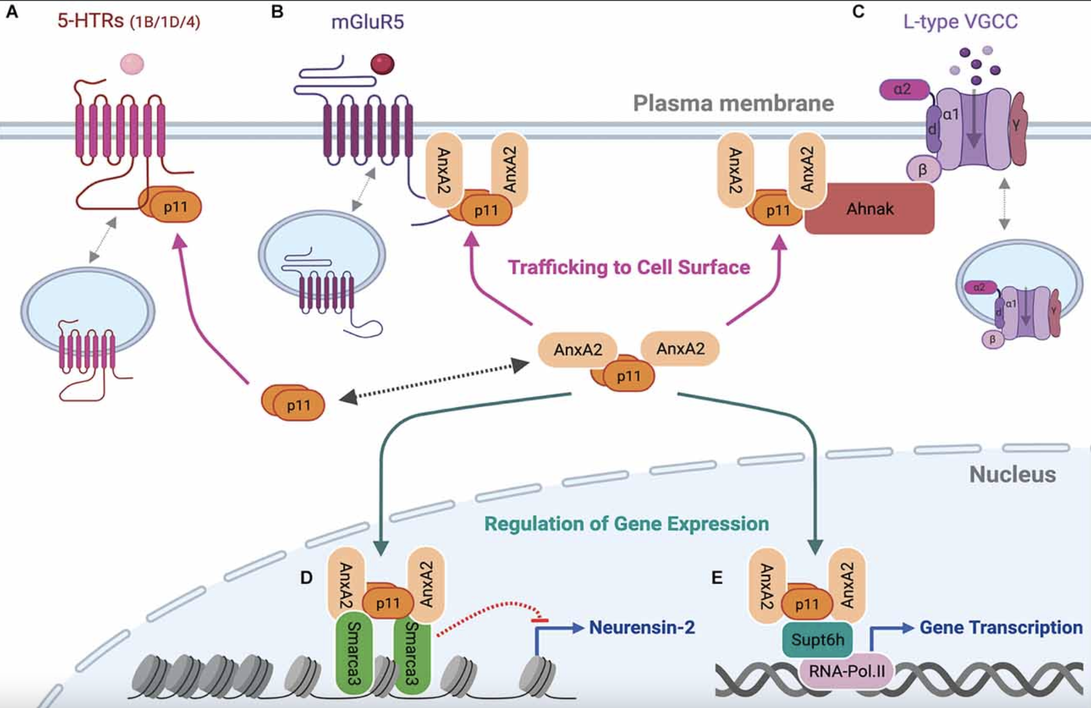 Screen Shot 2025-07-29 at 5.04.45 PM.png