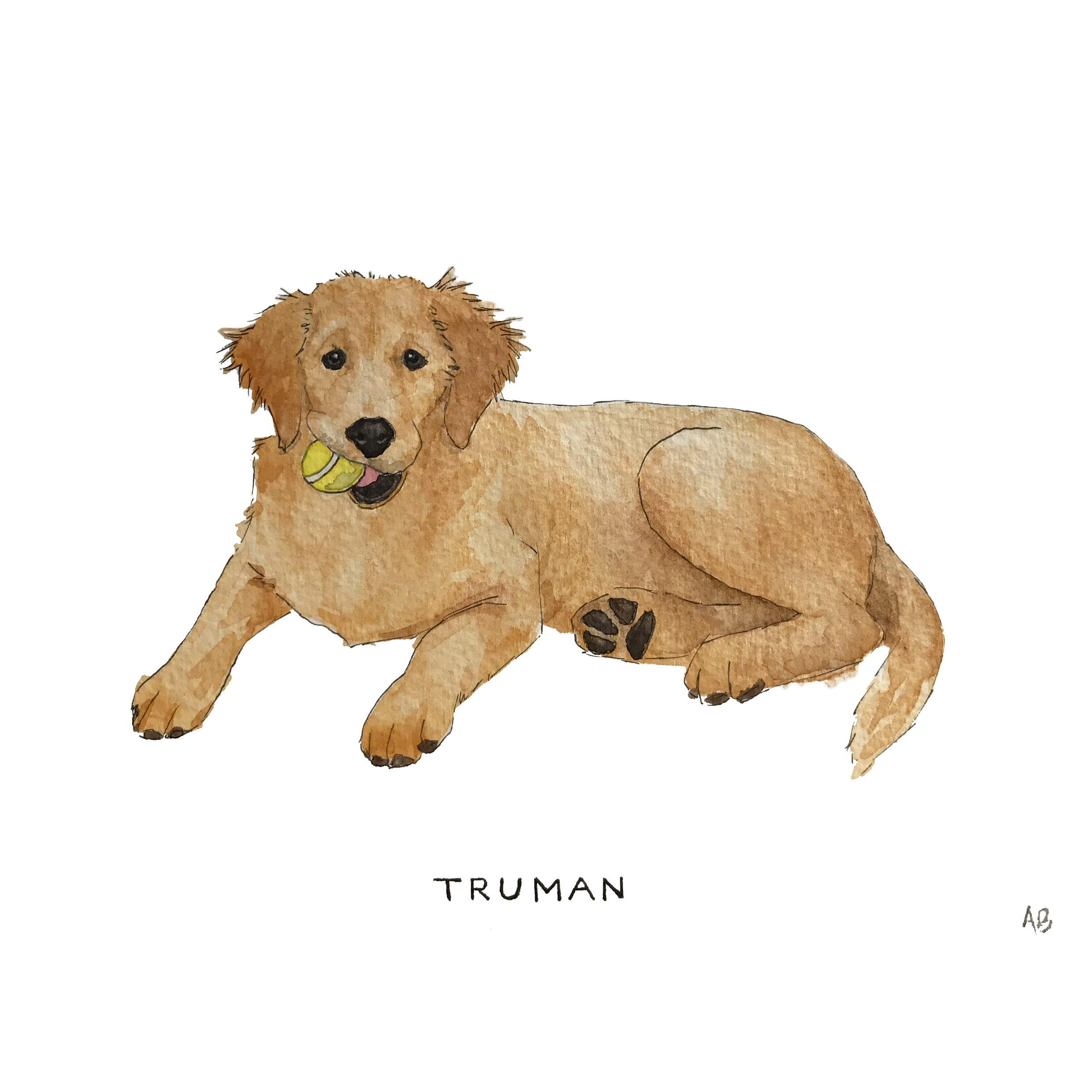 Truman.png