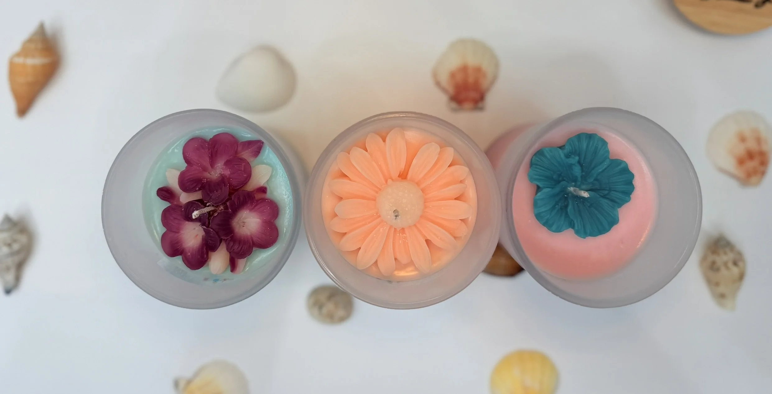 Caribbean Escape Collection Bundle