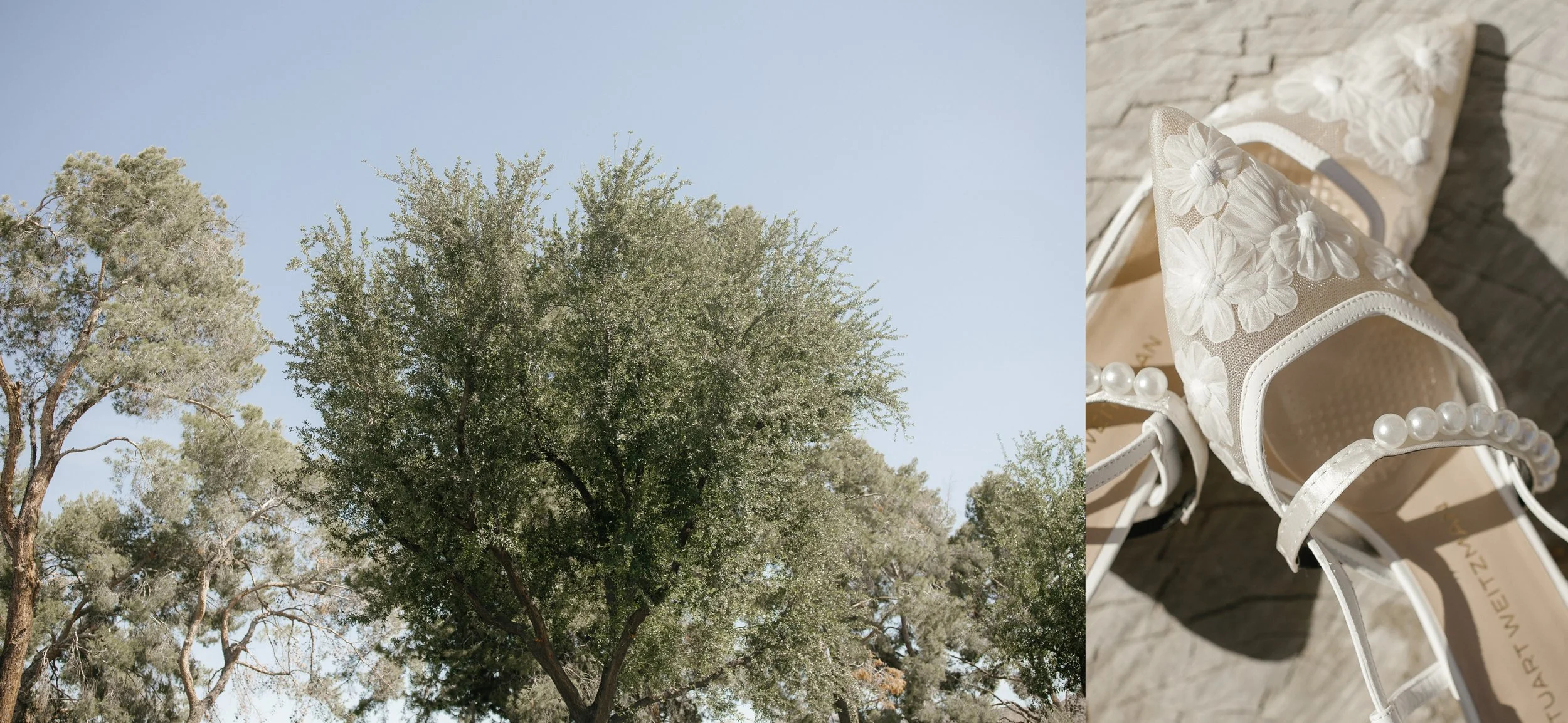 the-vow-edit-santa-barbara-wedding-simpson-house-inn-pearl-social-editorial-photography_0620.jpg